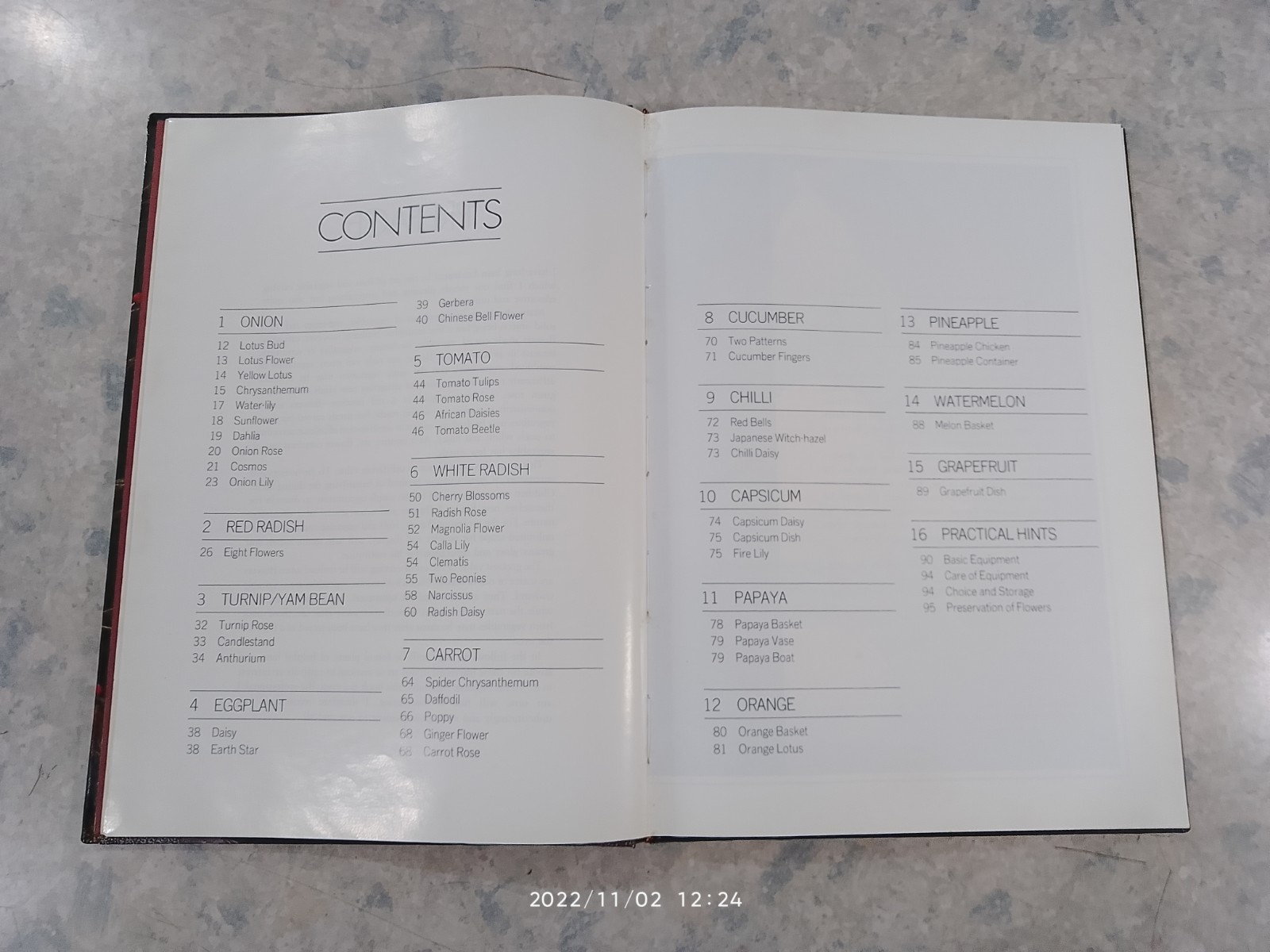 Fruit and Vegetable Caruing / Meera John Jacob