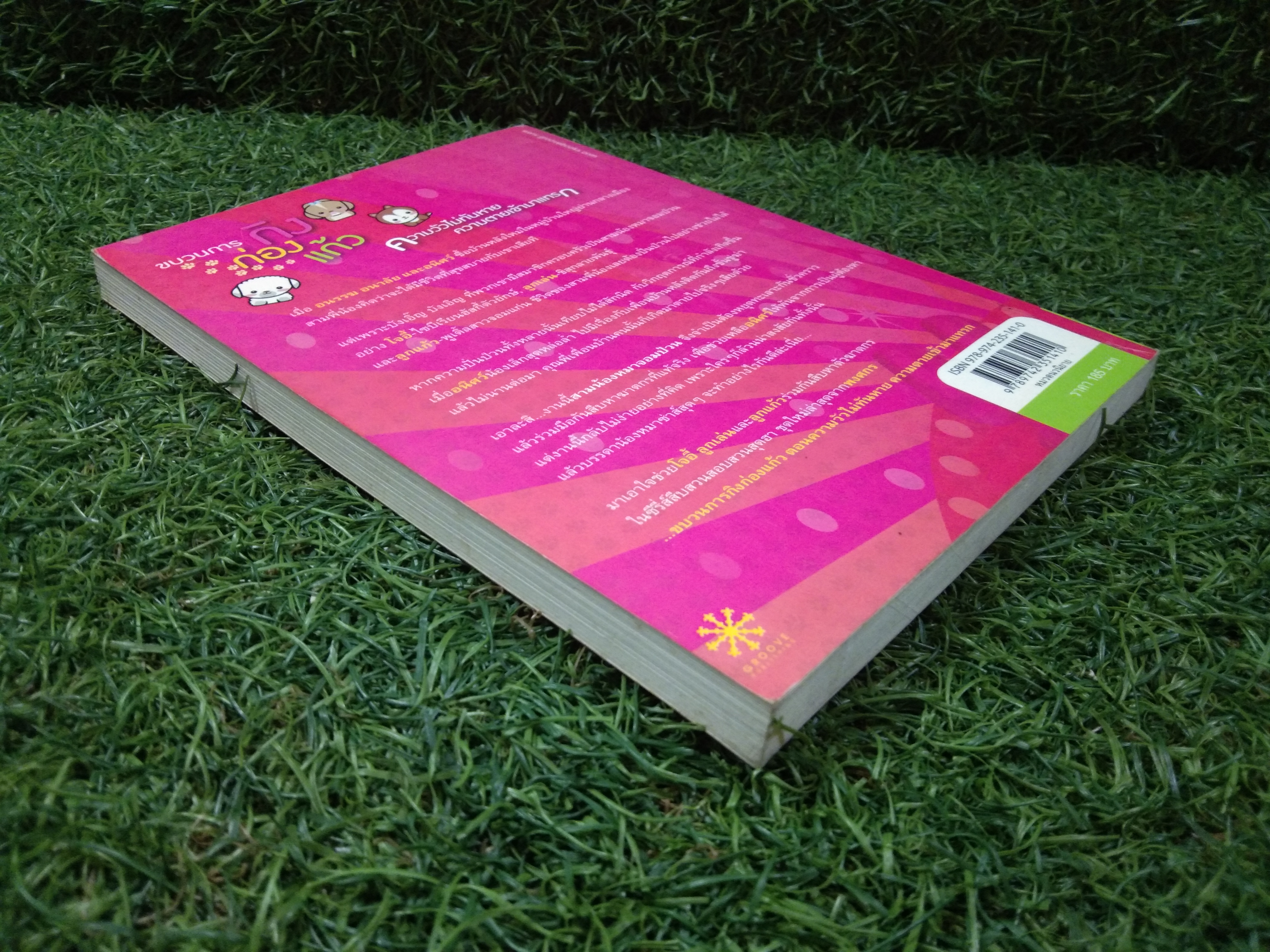 ขบวนการ กิง ก่อง แก้ว / พงศกร