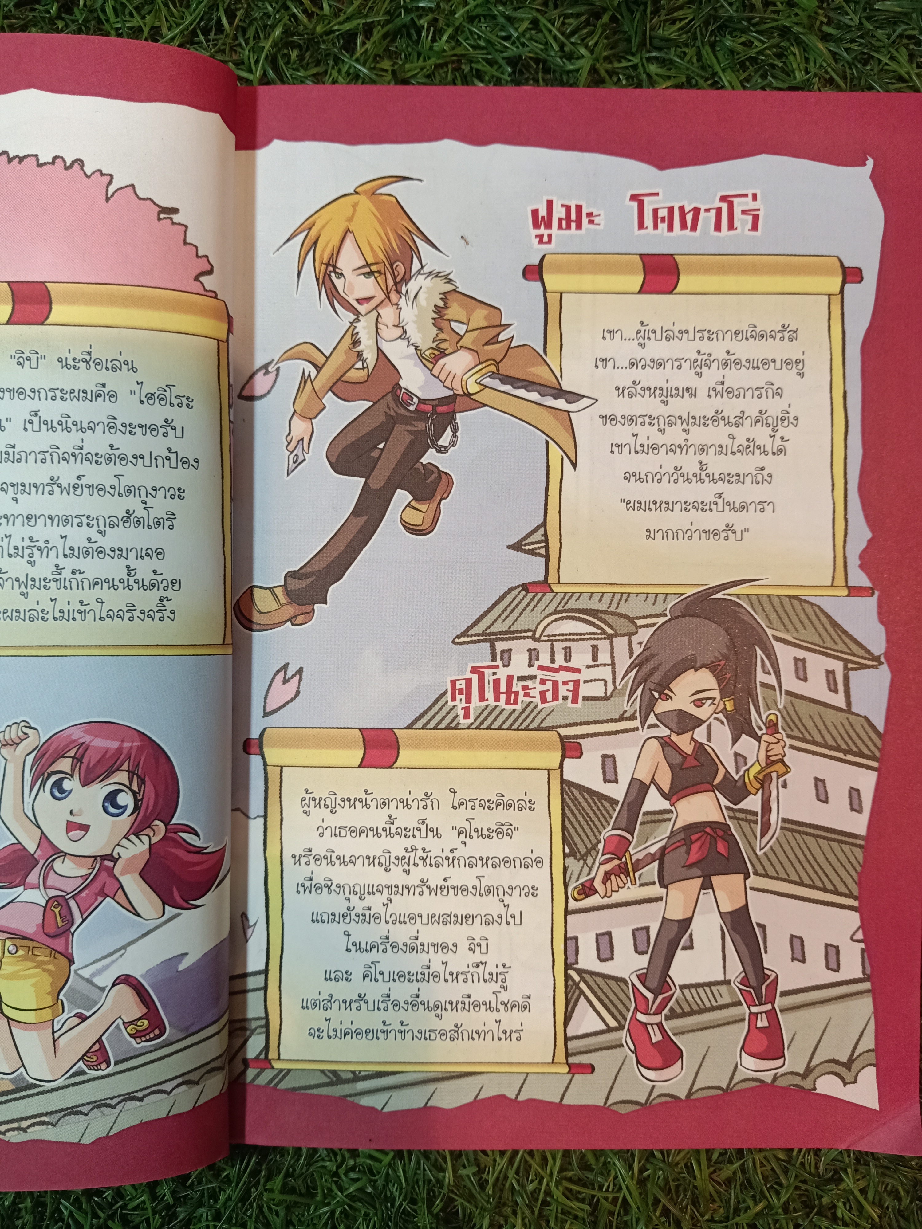 เจาะตำนาน นินจา ภารกิจลับไขขุมทรัพย์โชกุน / เมธี ดวงประเสริฐ
