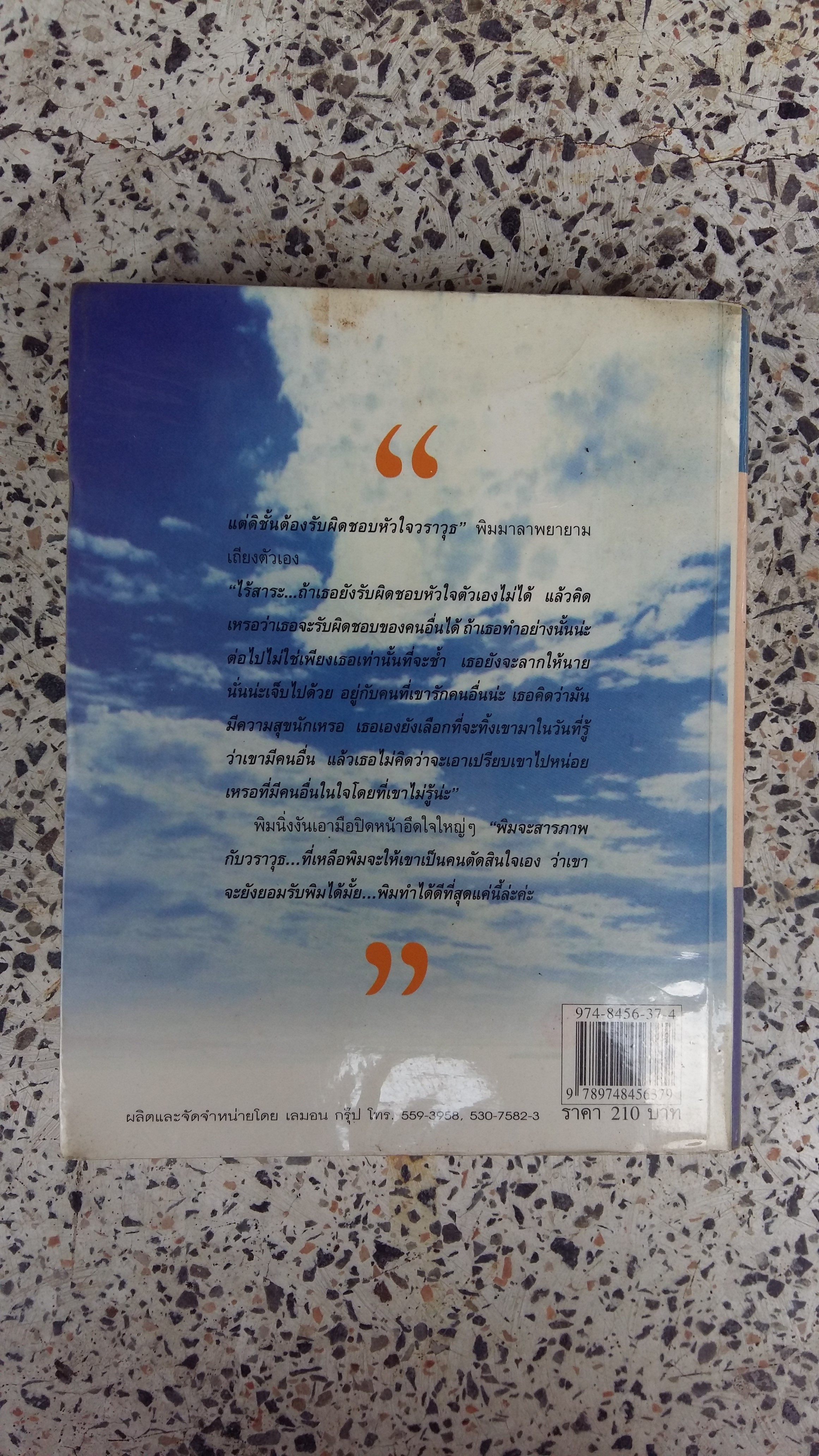 รักสุดท้ายที่ปลายฟ้า / พิง ลำพระเเพลิง