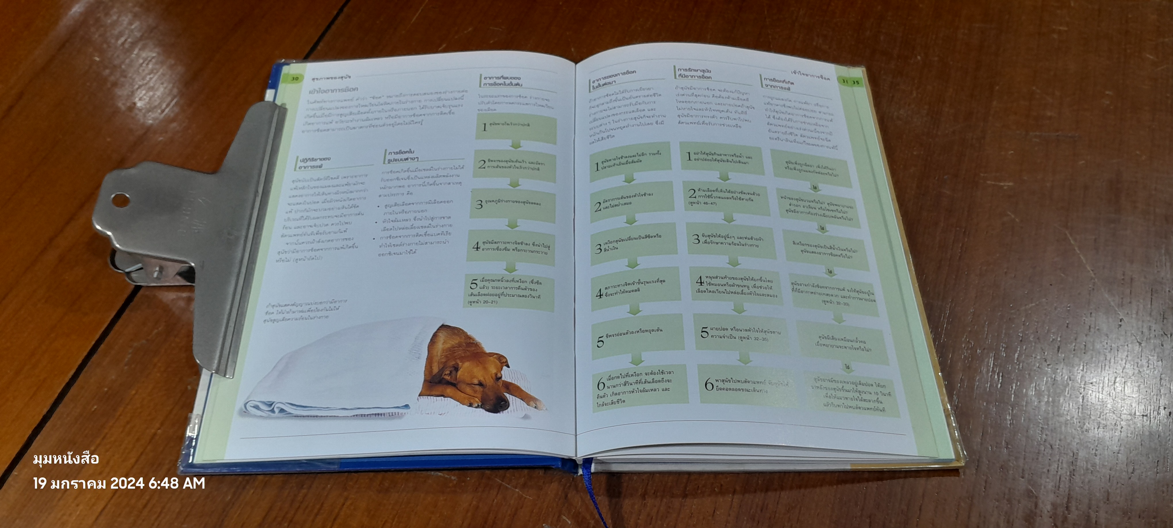 หมาของฉันเป็นอะไร ? / DR. BRUCE FOGLE