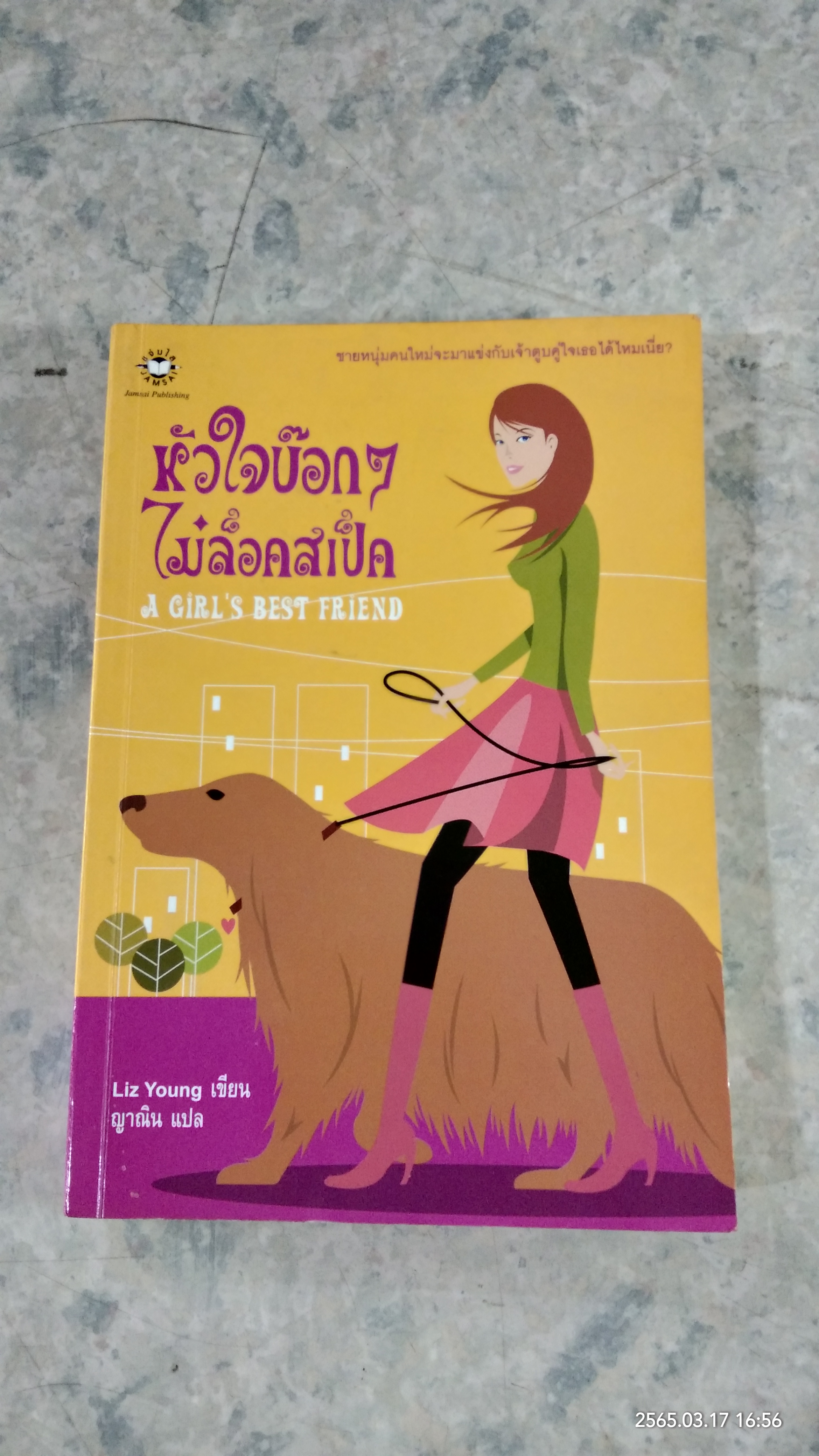 หัวใจบ๊อกๆ ไม่ล็อคสเป็ค / Liz Young