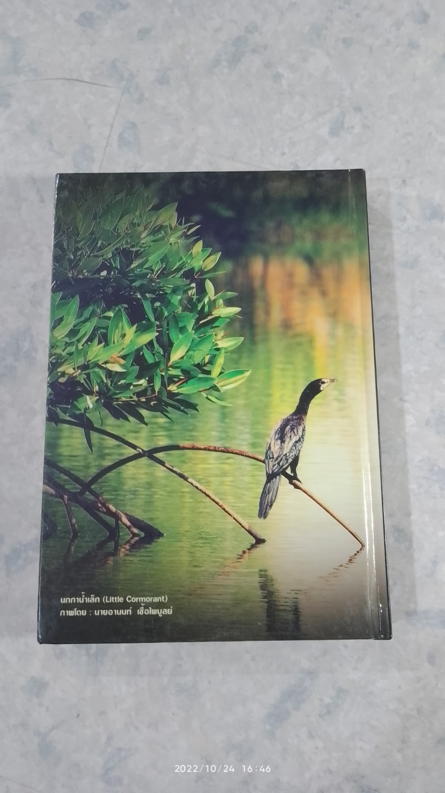 ความหลากหลายทางชีวภาพในป่าชายเลน ภาคใต้ตอนบน