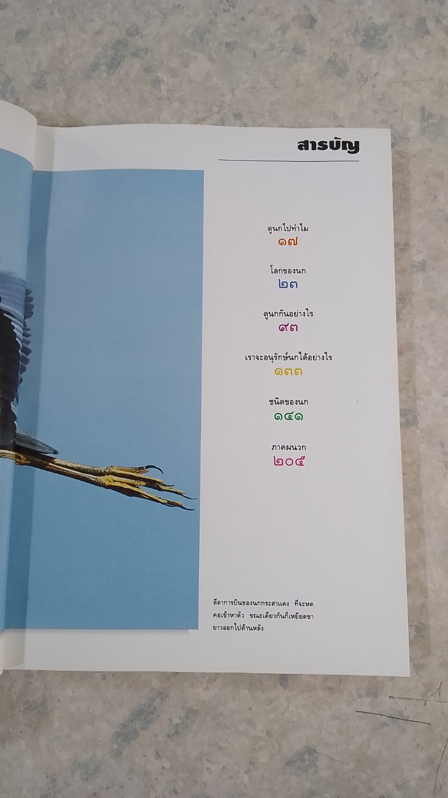 ดูนก / รุ่งโรจน์ จุกมงคล