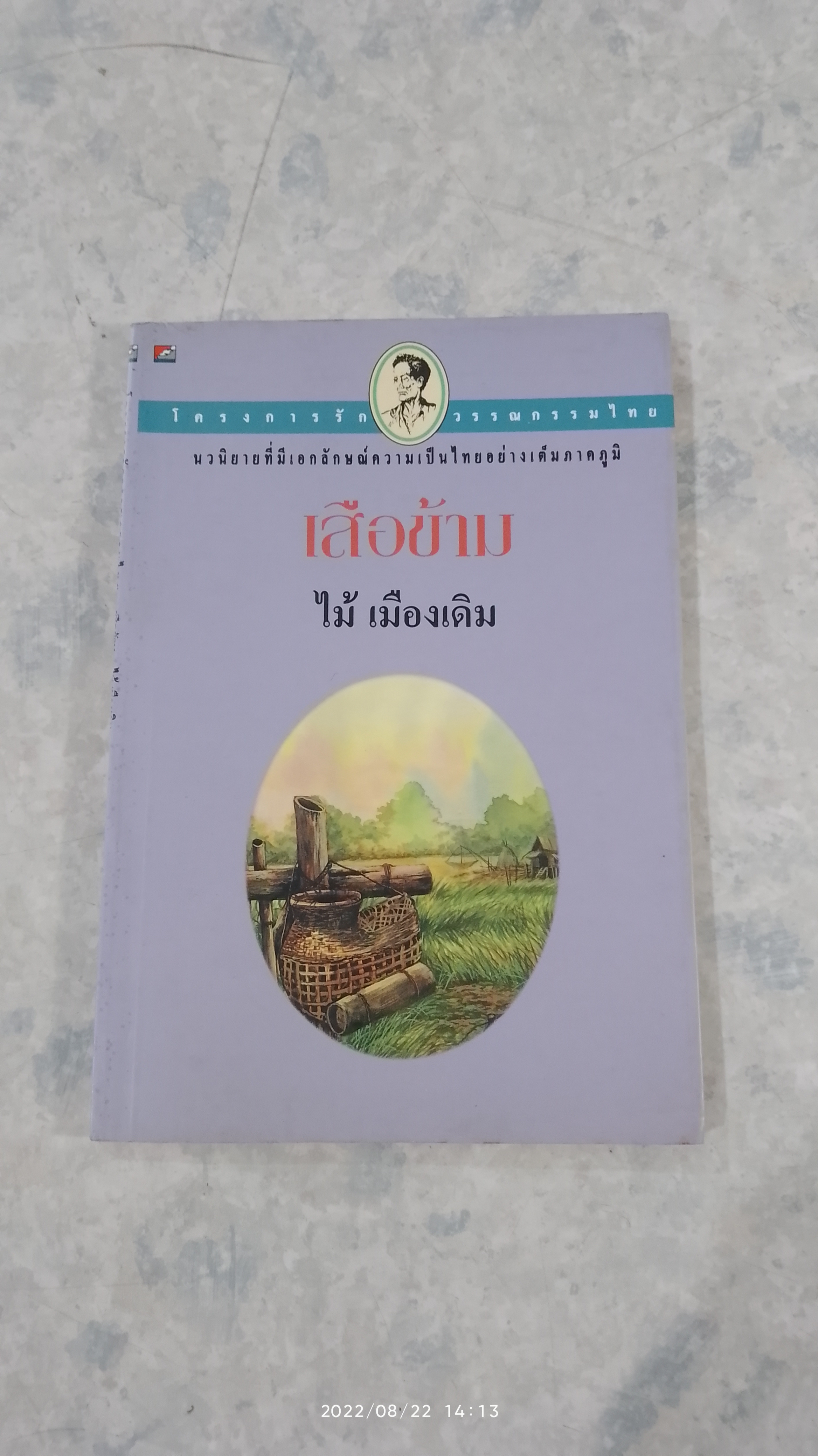 เสือข้าม / ไม้ เมืองเดิม