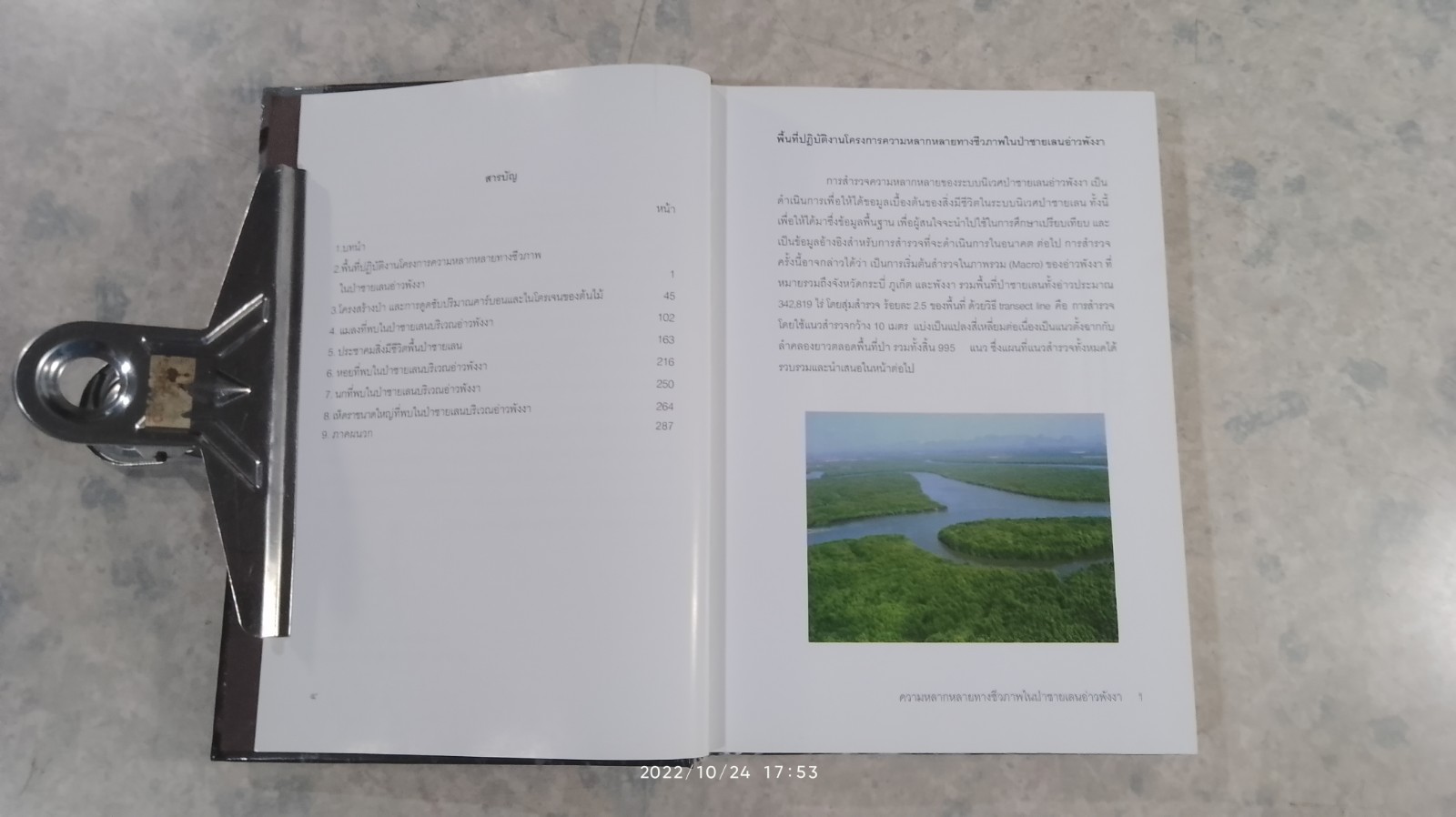 ความหลากหลายทางชีวภาพในป่าชายเลน อ่าวพังงา