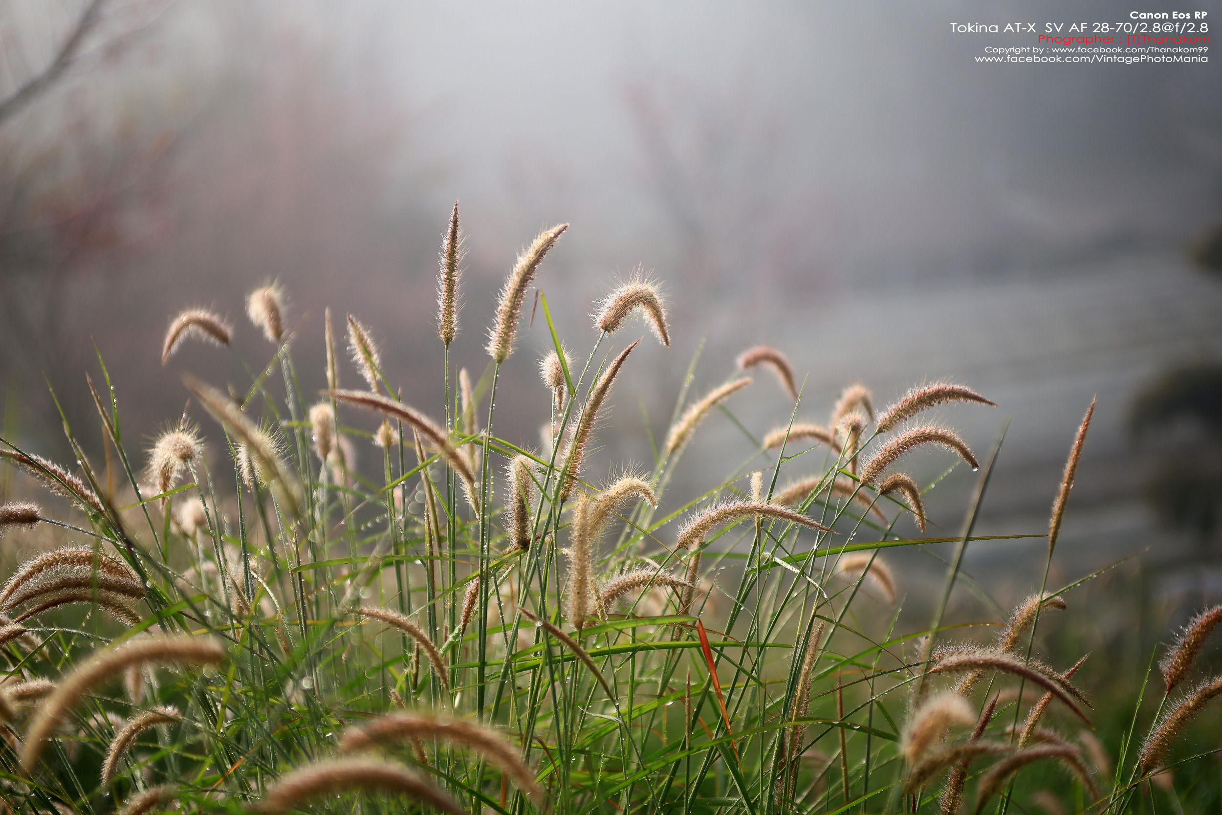 Tokina AT-X PRO AF 28-70/2.8 *Nikon AF-D Mount เลนส์ซูมเกรดโปรเอฟไม่ไหล