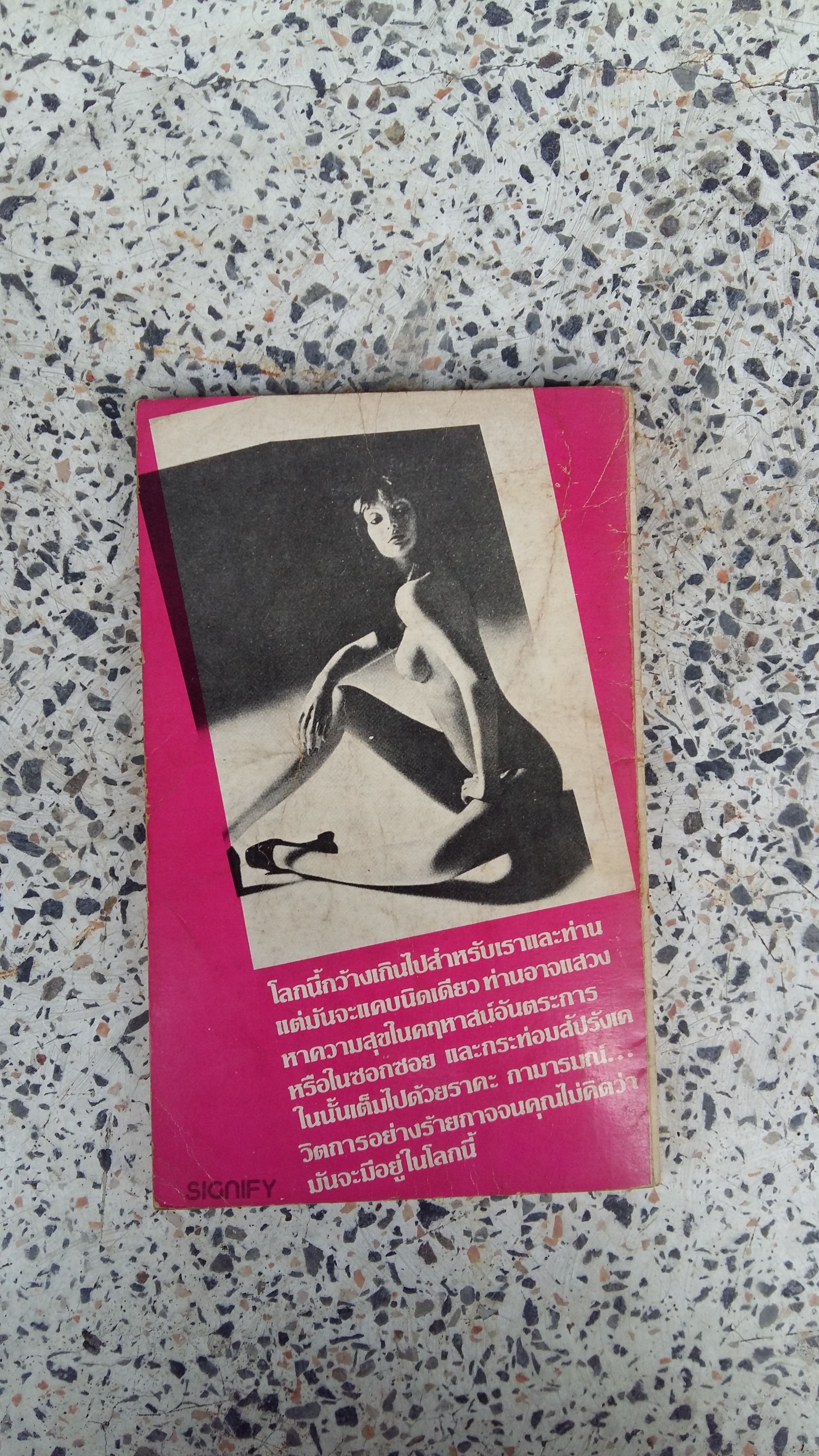 นางแบบอาชีพ / ณรงค์ฤทธิ์