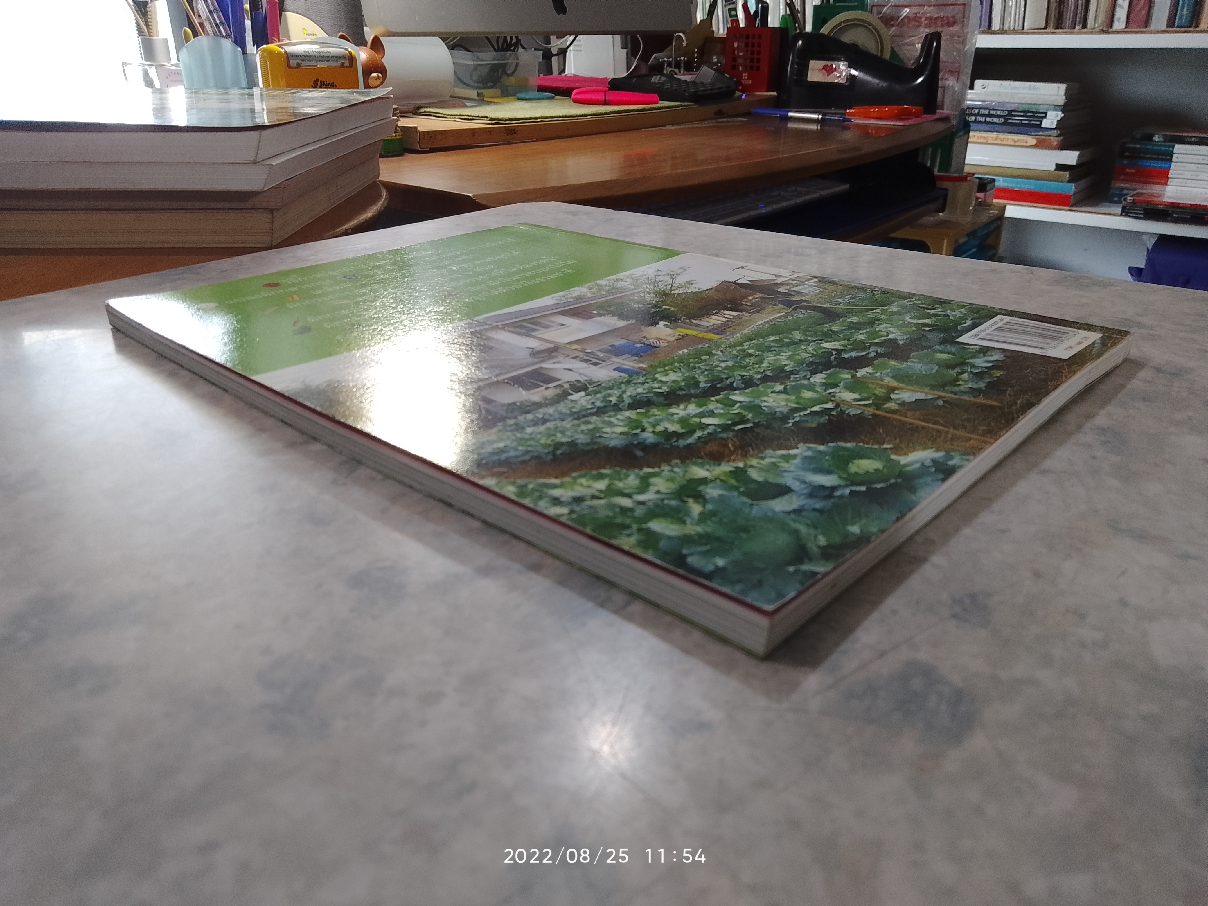 สวนผักคนเมือง สวนผักดาดฟ้า / คมสัน หุตะแพทย์