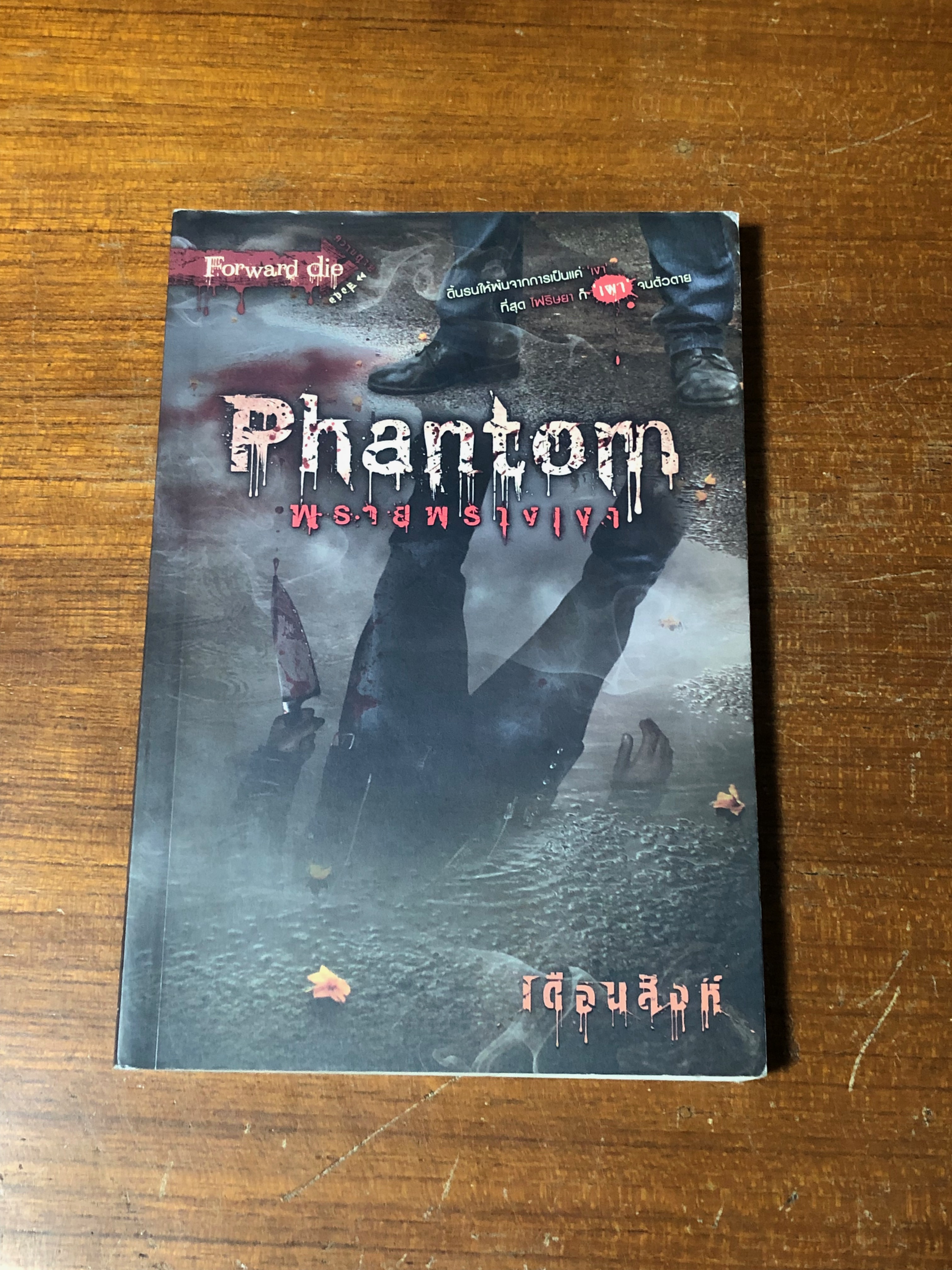 พรายพรางเงา / เดือนสิงห์