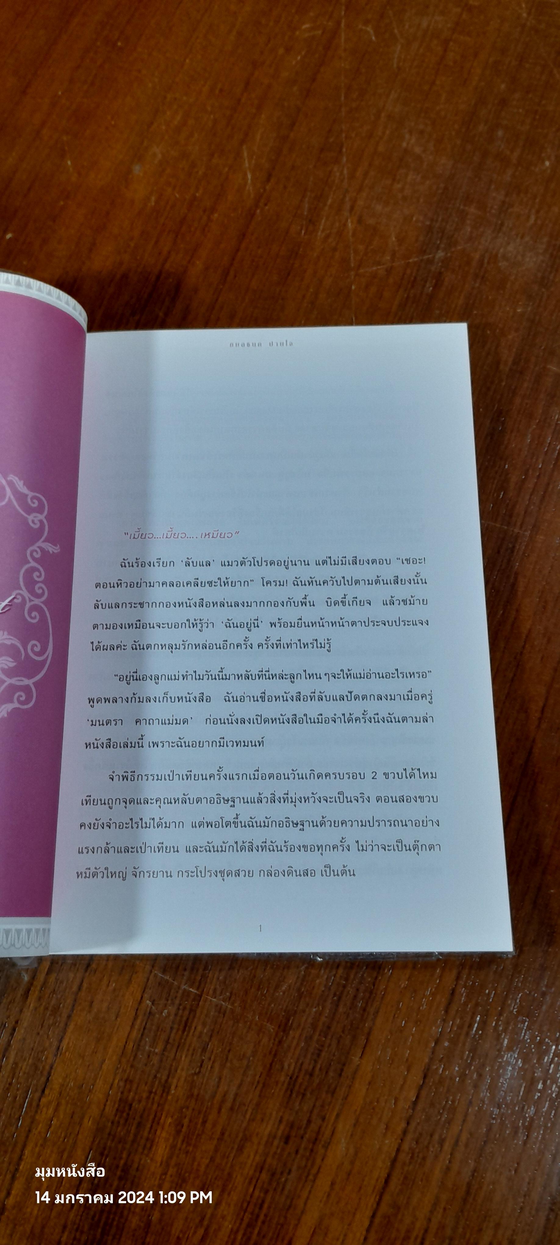 เสกรักให้ปักใจ / กมลชนก ปานใจ