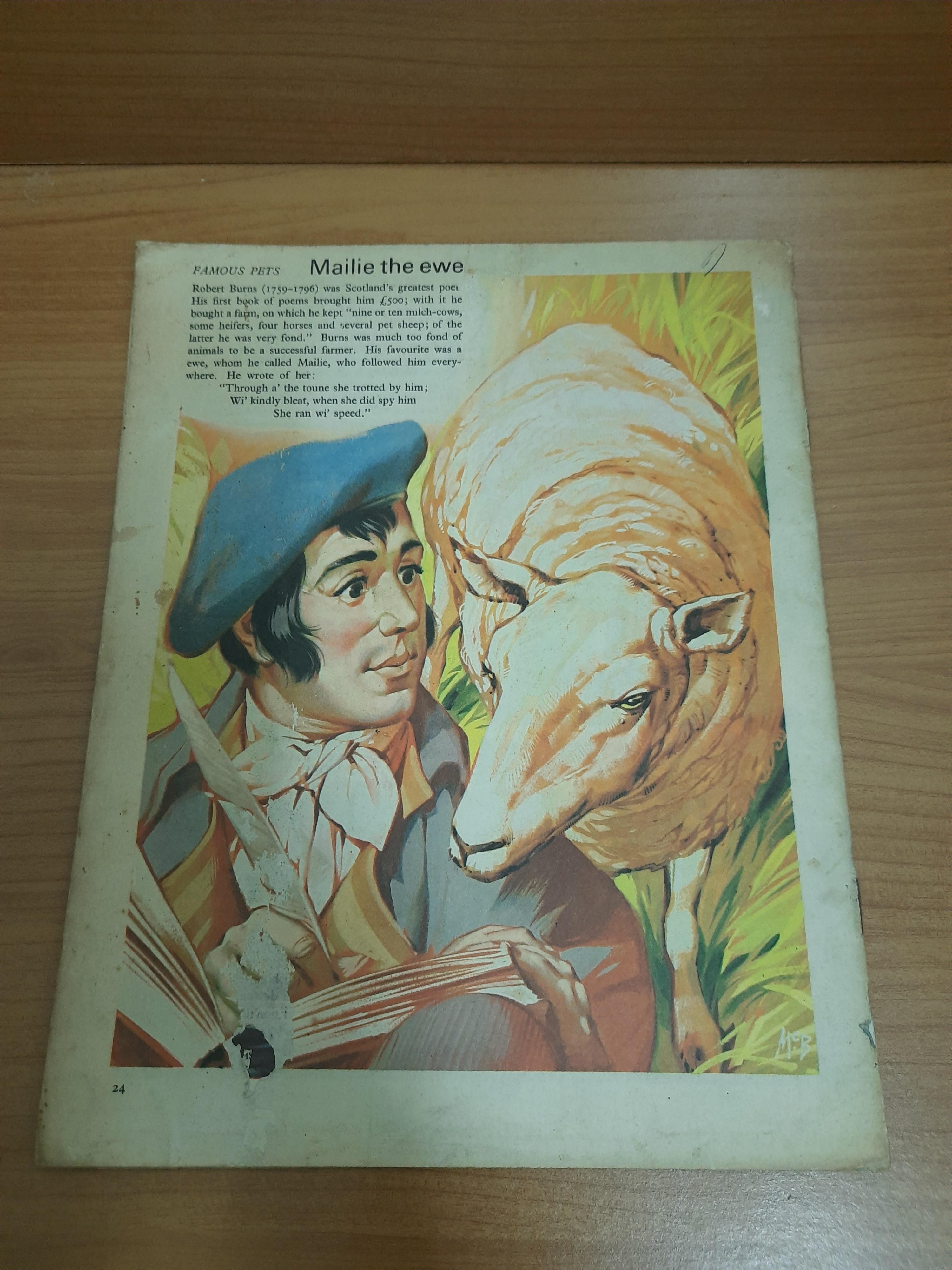 FINDING OUT Vol.13 No.6