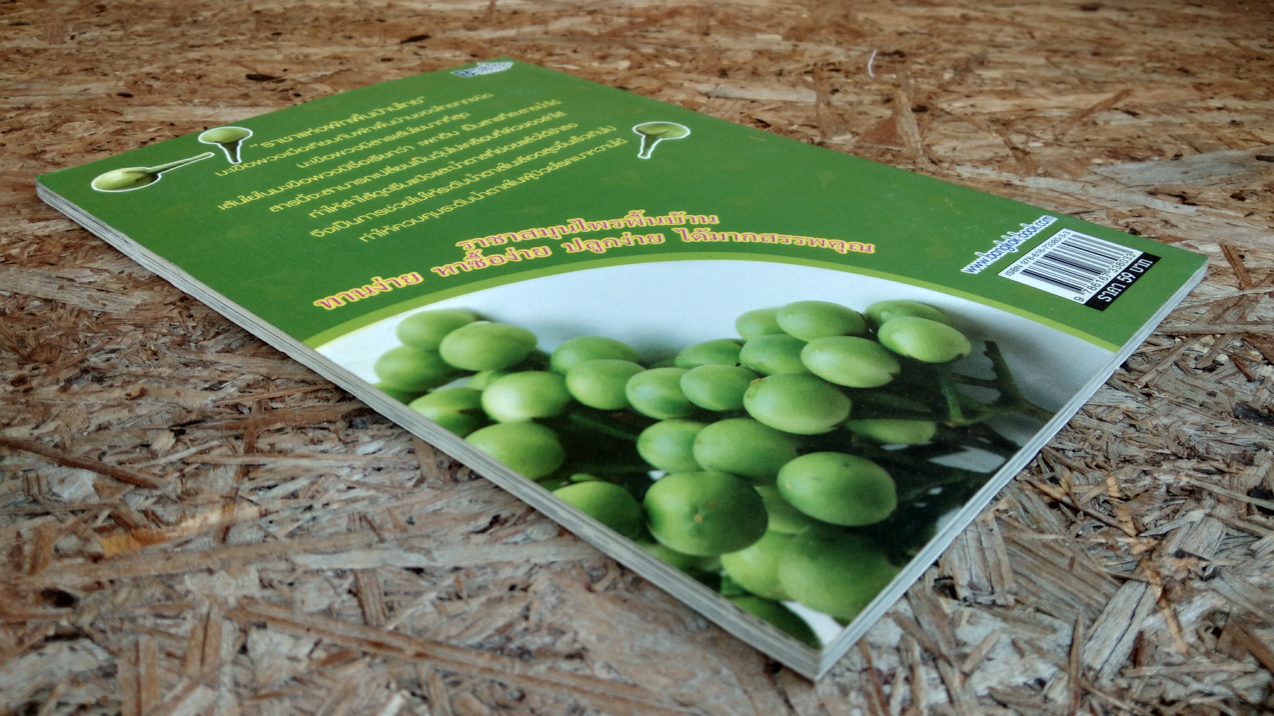 มะเขือพวง ขจัดเบาหวาน ราชาสมุนไพร จากพื้นบ้านแห่งสยาม