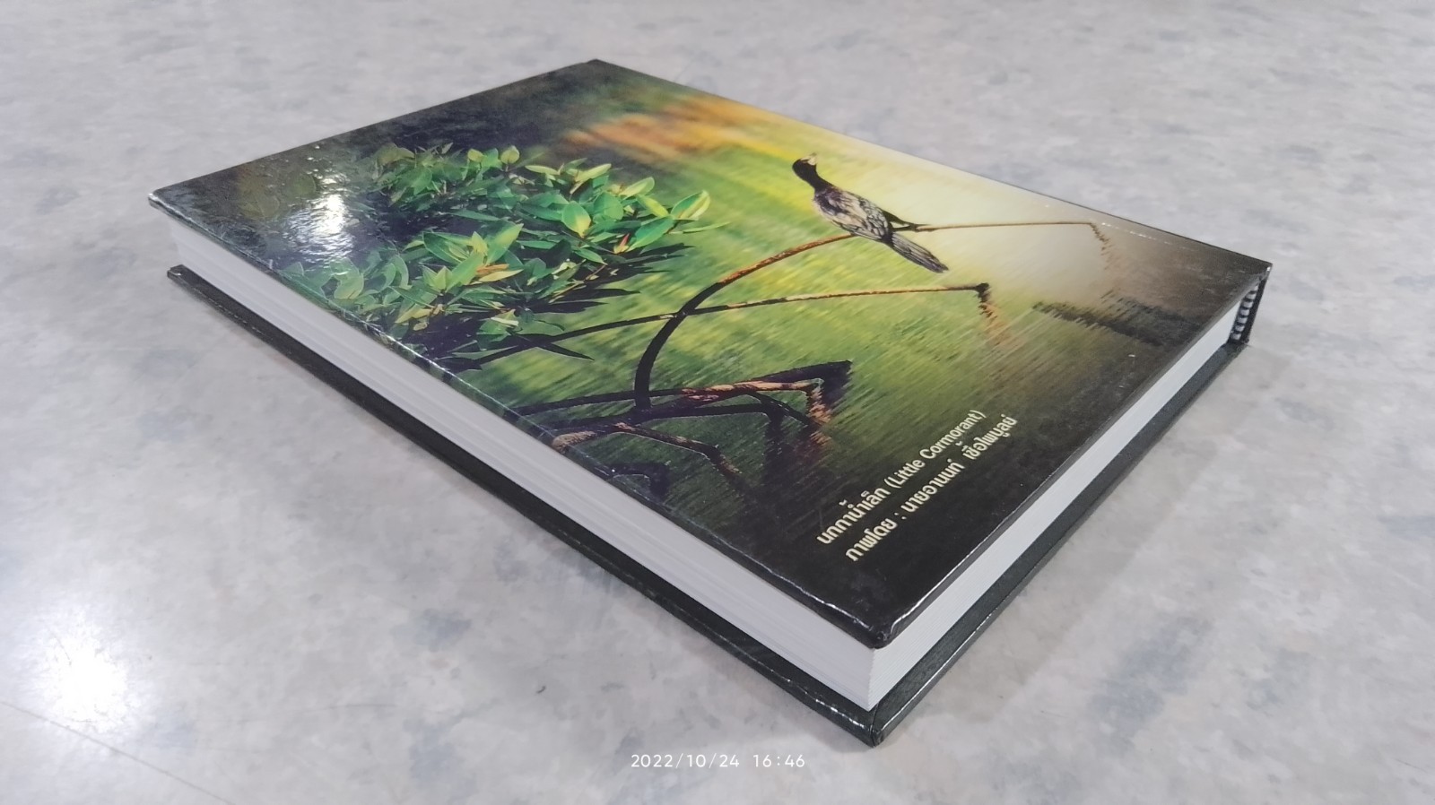 ความหลากหลายทางชีวภาพในป่าชายเลน ภาคใต้ตอนบน