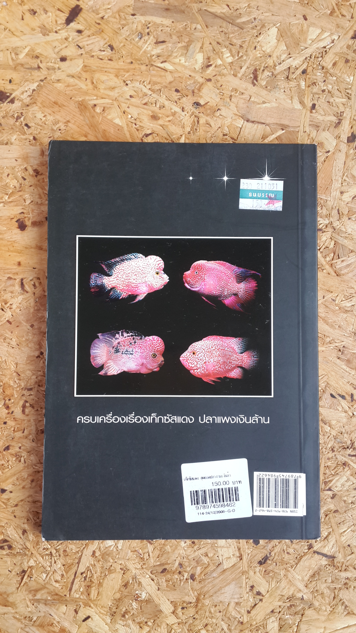 เท็กซัสแดง สุดยอดปลางามเงินล้าน