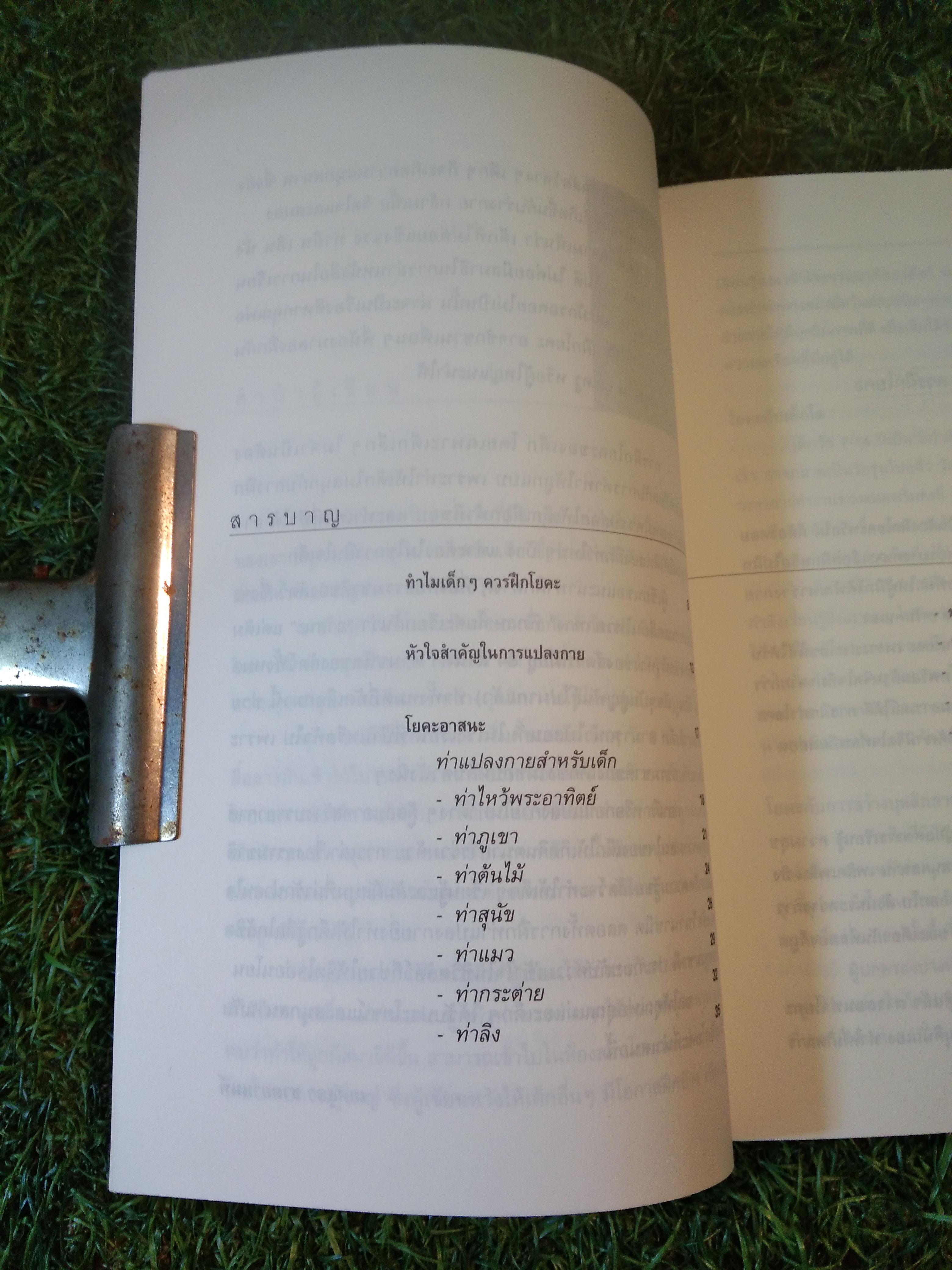 โยคะ ฝึกสมาธิเด็ก / เกศสุดา ชาตยานนท์