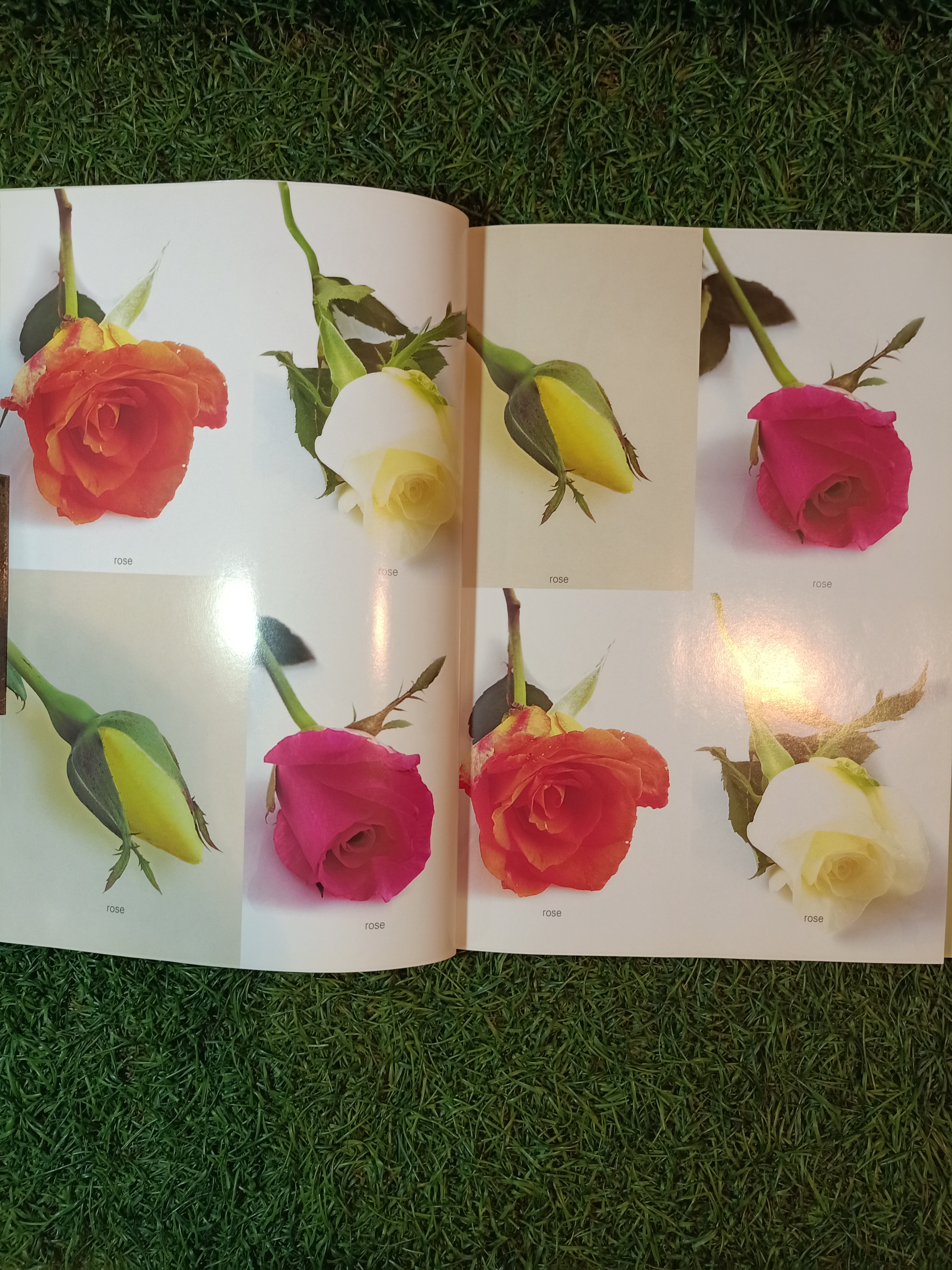 จัดจับใจ flowers desing / อ้อมขวัญ สาณะเสน