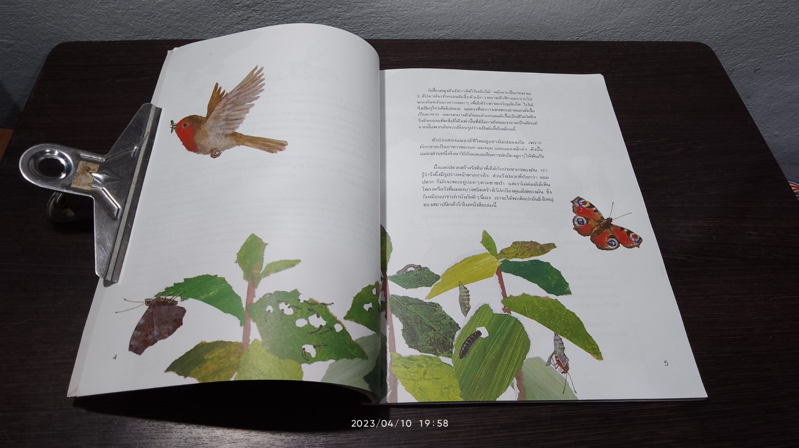 สร้างรัง ขุดรู สำรวจบ้านแมลง / Anne Moller
