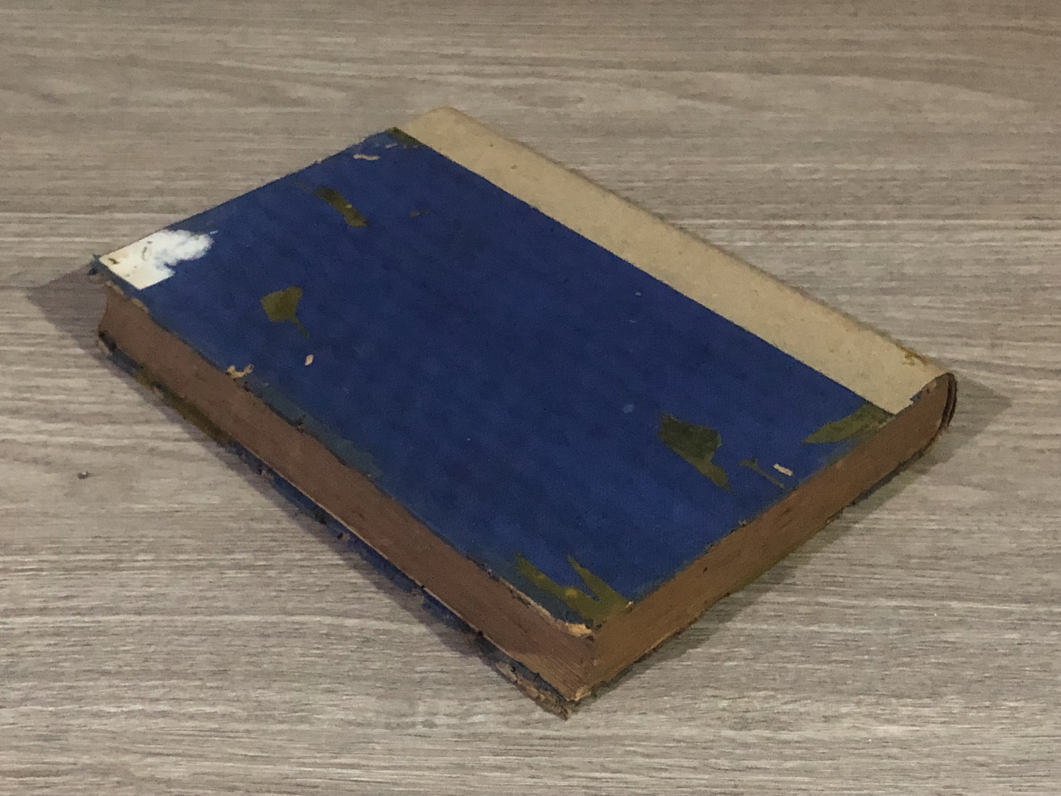 จิ้งจอดทะเลทราย (รอมเมล) / พ.ท.วัลลภ โรจนวิสุทธิ์ (สภาพไม่สมบูรณ์)