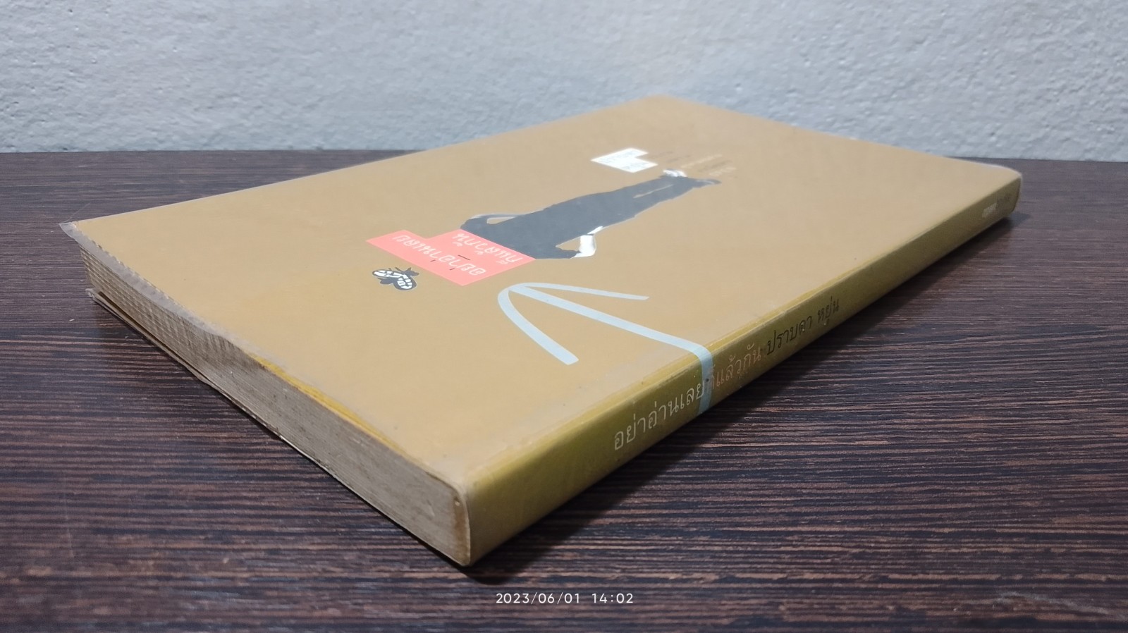 อย่าอ่านเลยก็แล้วกัน / ปราบดา หยุ่น