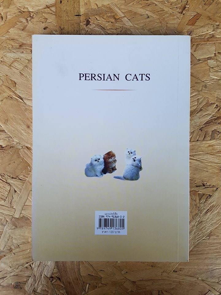 แมวเปอร์เซีย / เหมพันธ์ เหมวรนันท์