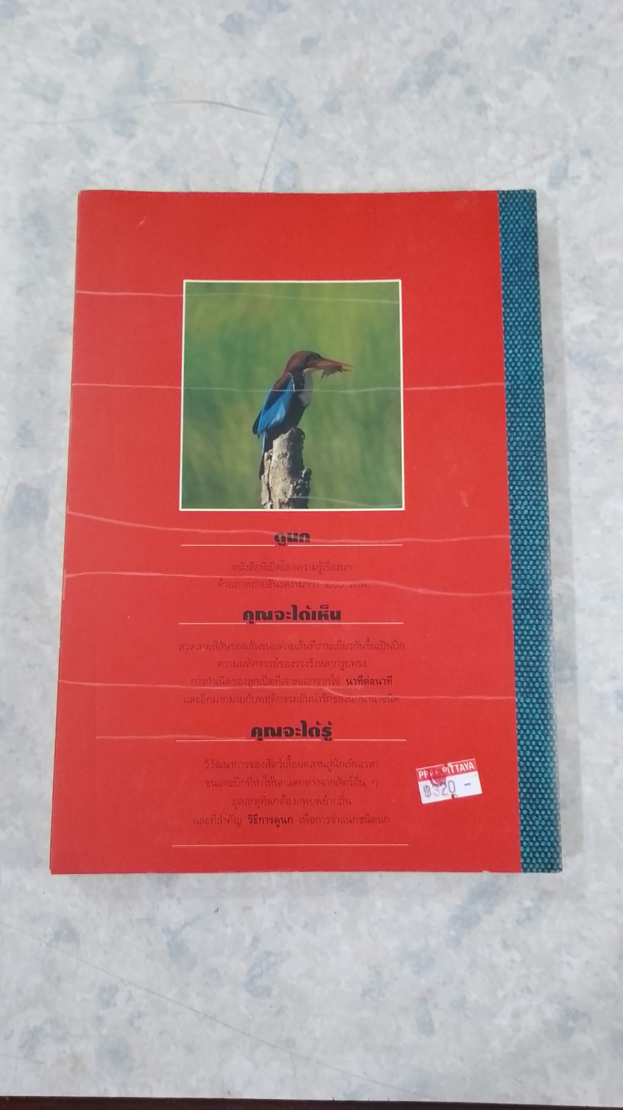 ดูนก / รุ่งโรจน์ จุกมงคล