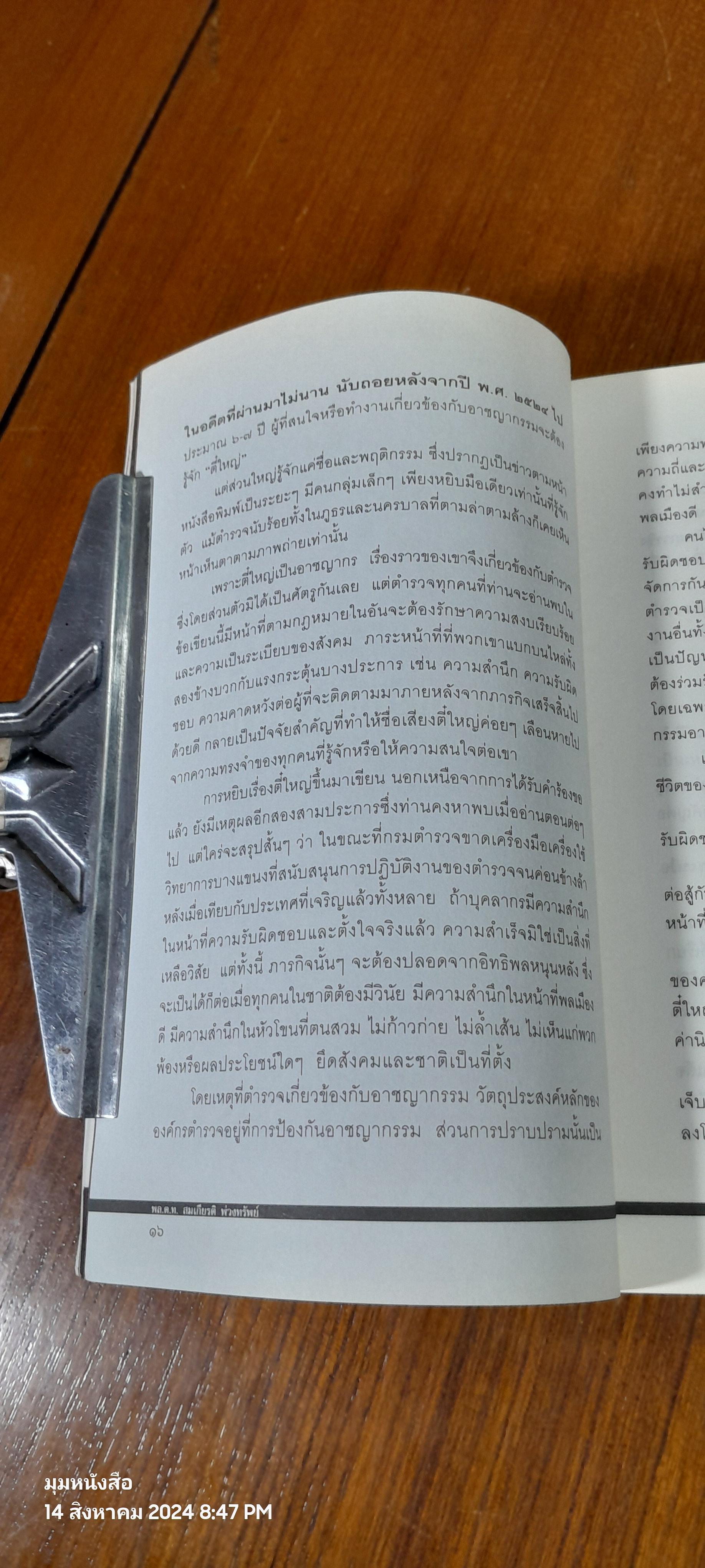 ตี๋ใหญ่ โจรระห่ำเมือง / พล.ต.ท.สมเกียรติ พ่วงทรัพย์