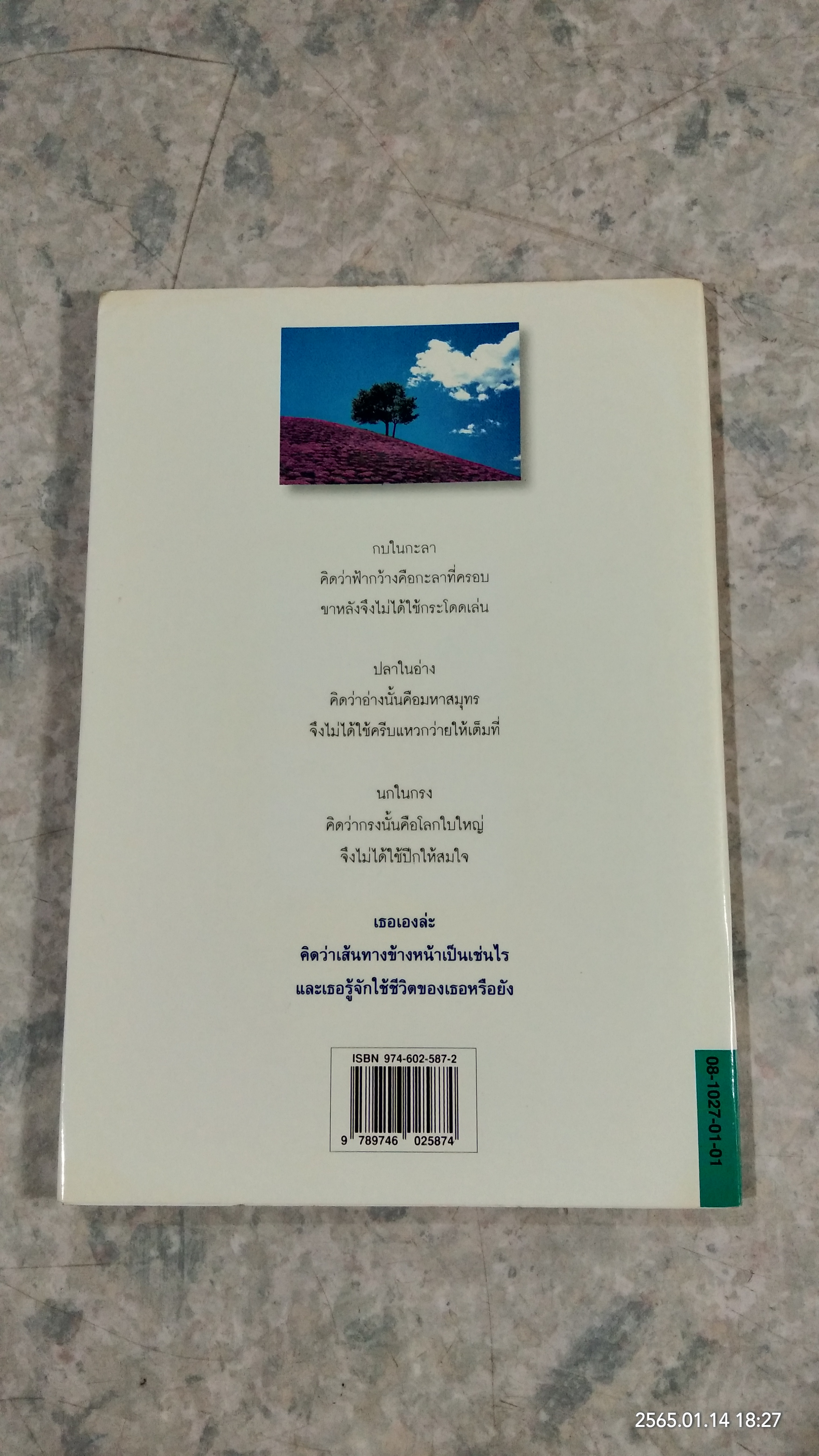 เพื่อนเอย...ชีวิตนี้เป็นของเธอ / ปะการัง
