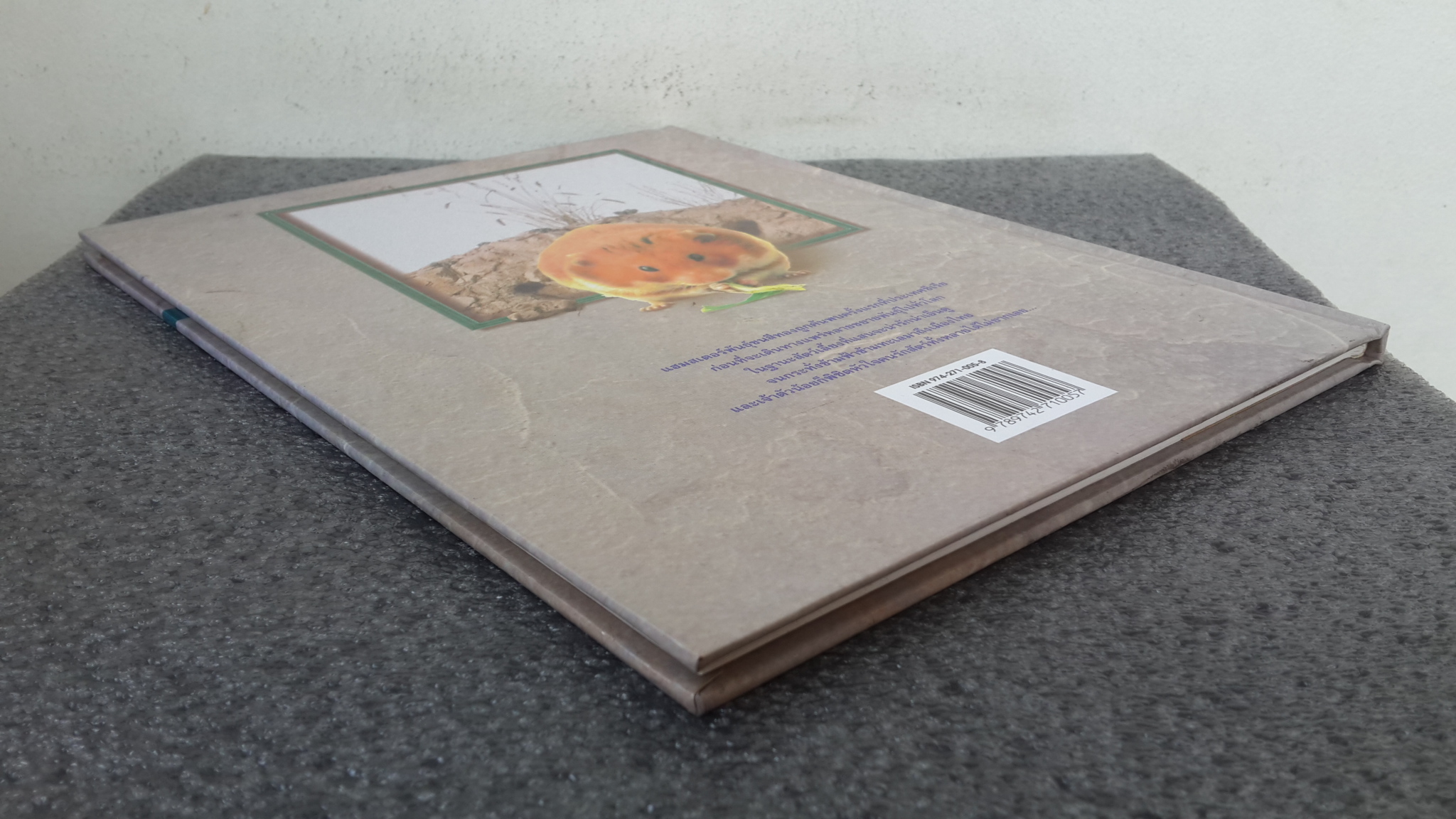 การเลี้ยงแฮมสเตอร์ / ภัทรา แสงดานุช