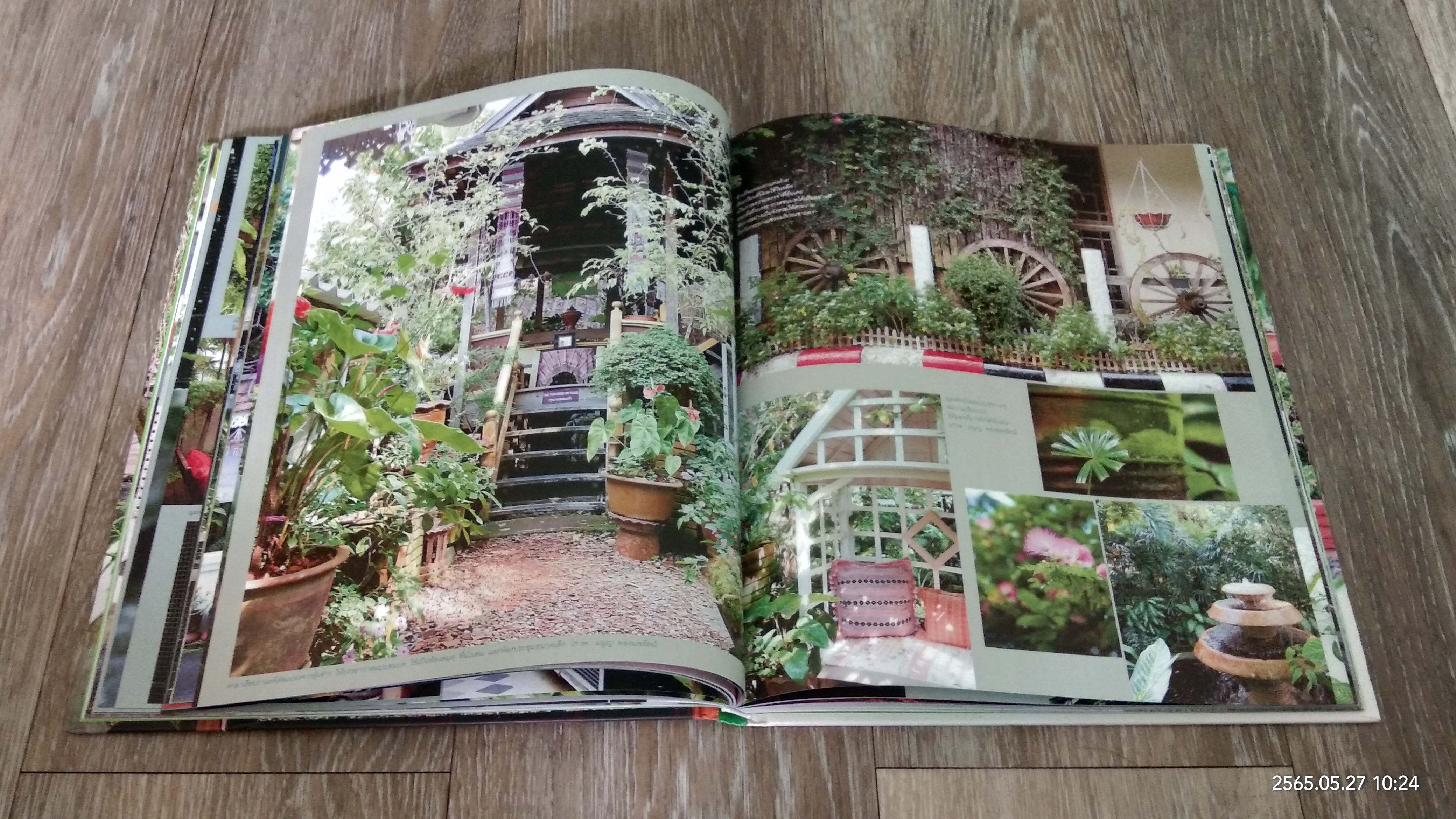 สวนหลากสไตล์ 3 / บ้านและสวน