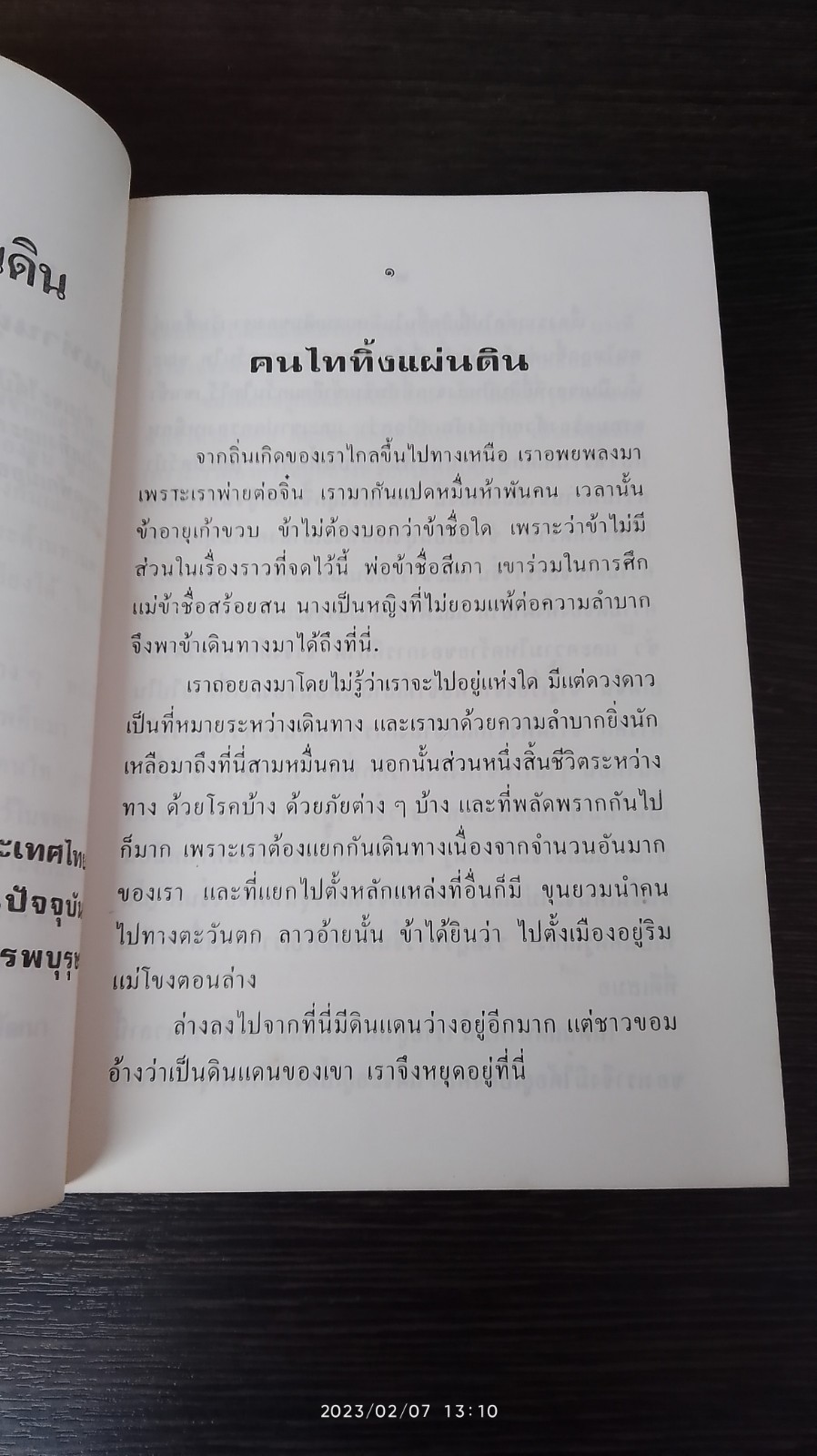 คนไททิ้งแผ่นดิน