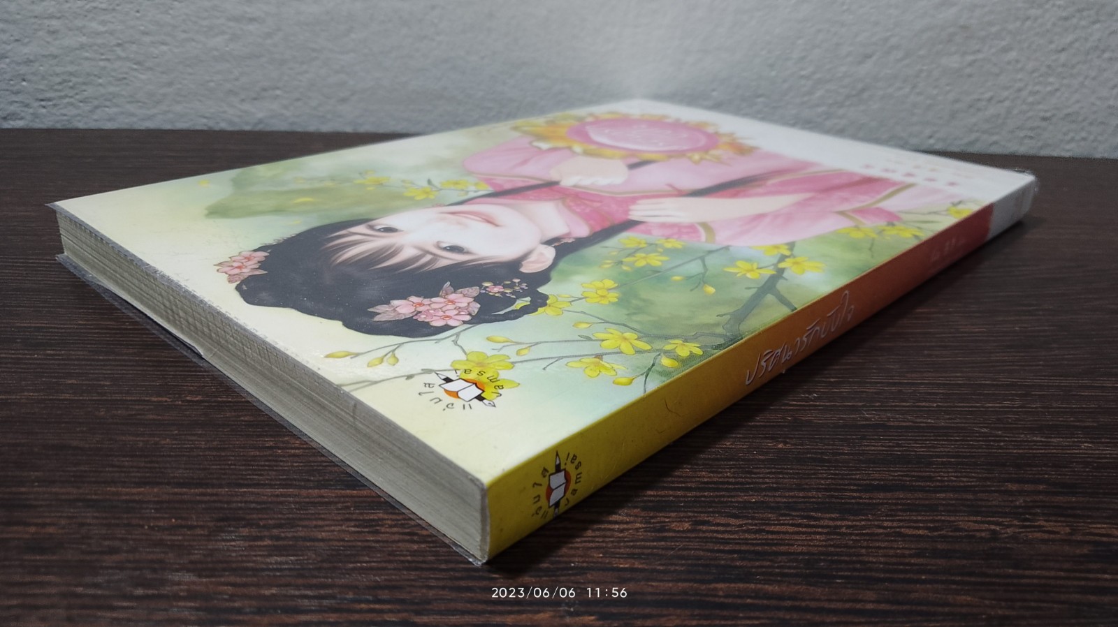 ปริศนารักบังใจ / จั้นชิง