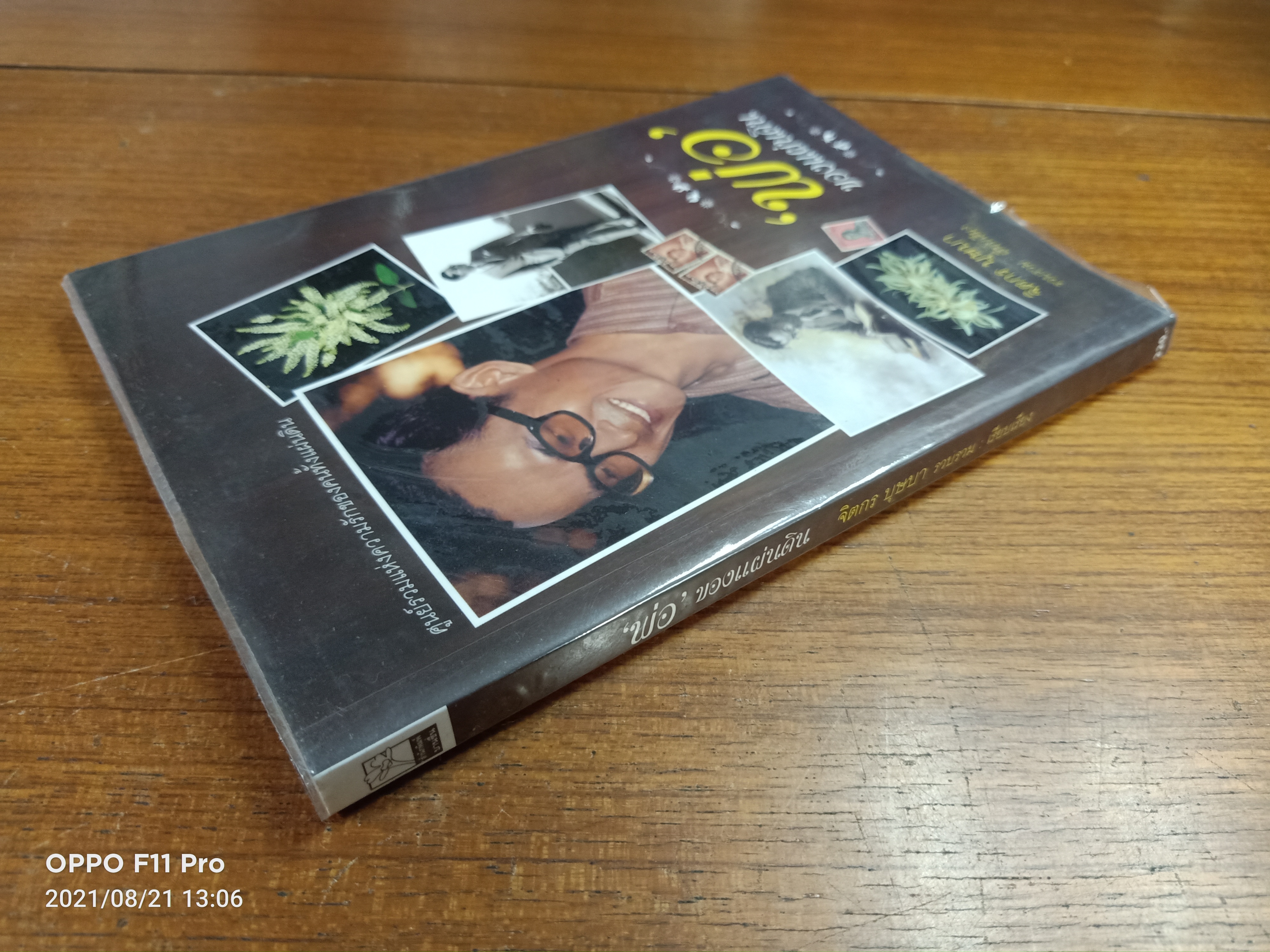"พ่อ" ของแผ่นดิน / จิตกร บุษบา