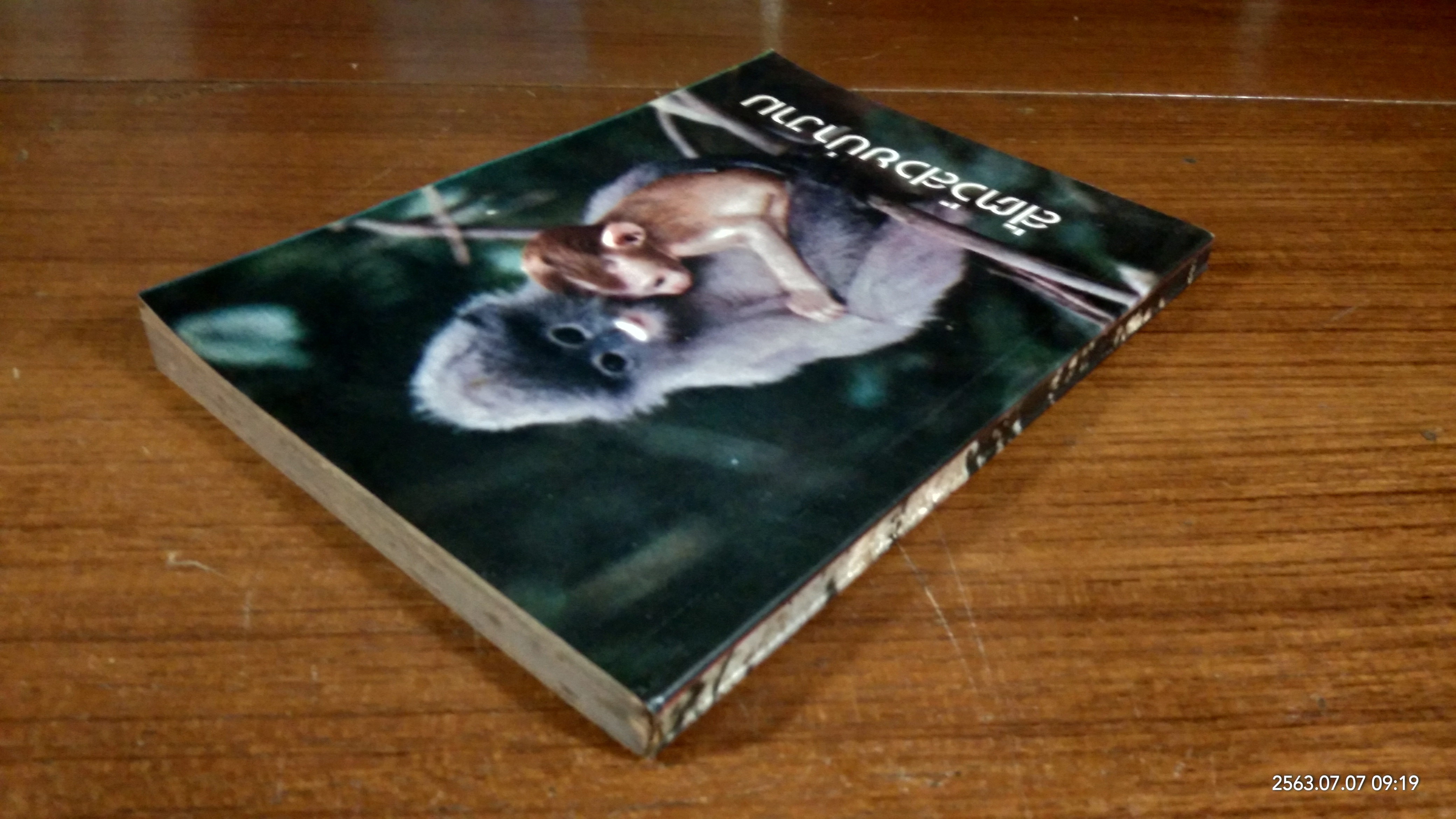 สัตว์สวยป่างาม