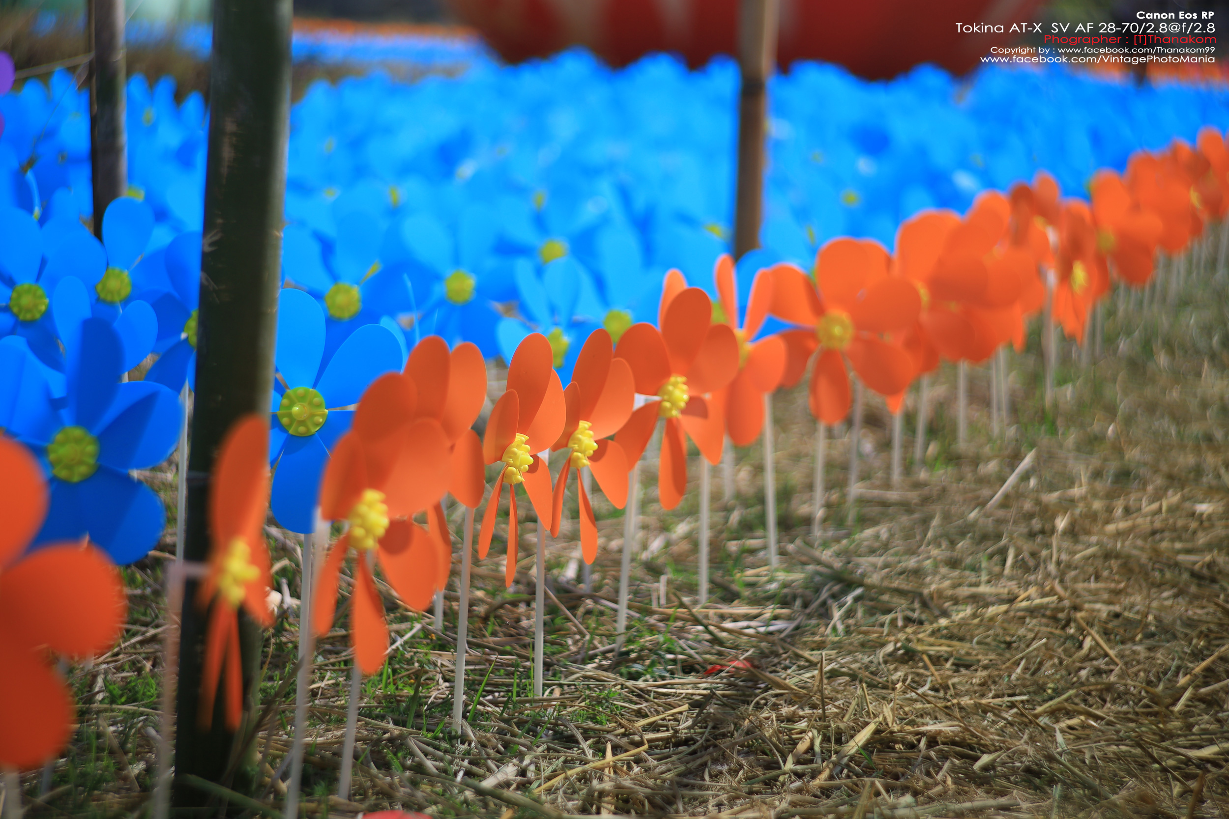 Tokina AT-X PRO AF 28-70/2.8 *Nikon AF-D Mount เลนส์ซูมเกรดโปรเอฟไม่ไหล