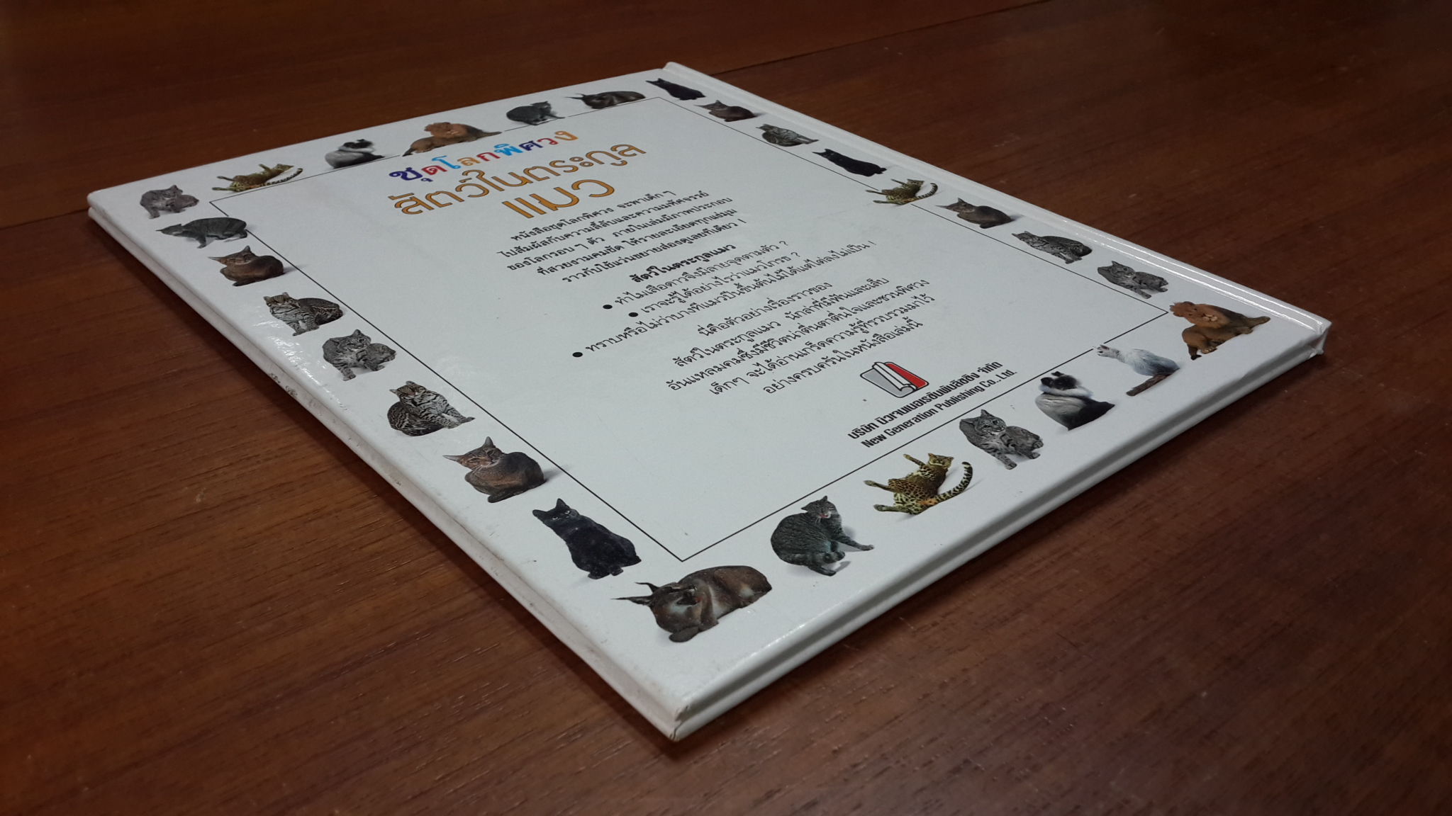 ชุดโลกพิศวง : สัตว์ในตระกูลแมว / อะเล็กซานดรา พาร์สันส์