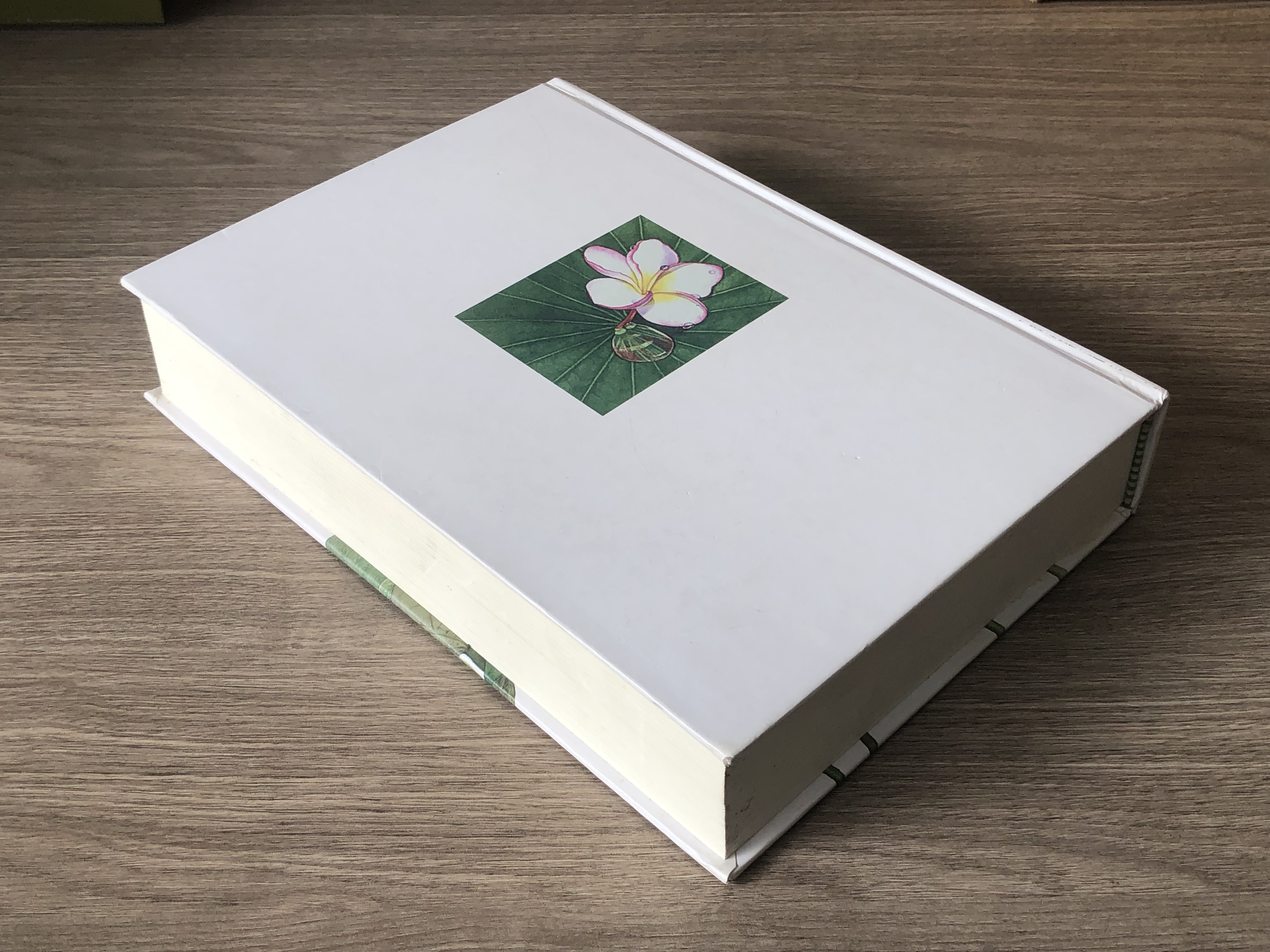 เข้าสู่แดนอวกาศของจิตของธรรม / ท่านอาจารย์พระมหาบัว ญาณสมฺปนฺโน