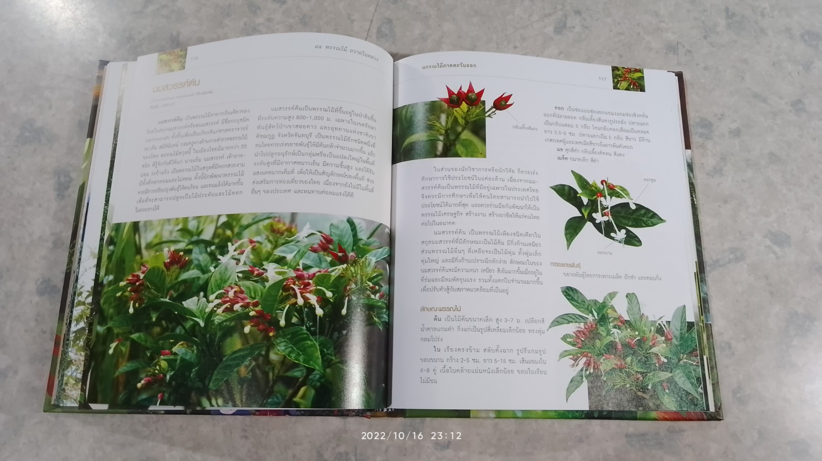 ๘๔ พรรณไม้ถวายในหลวง (ปกแข็ง)