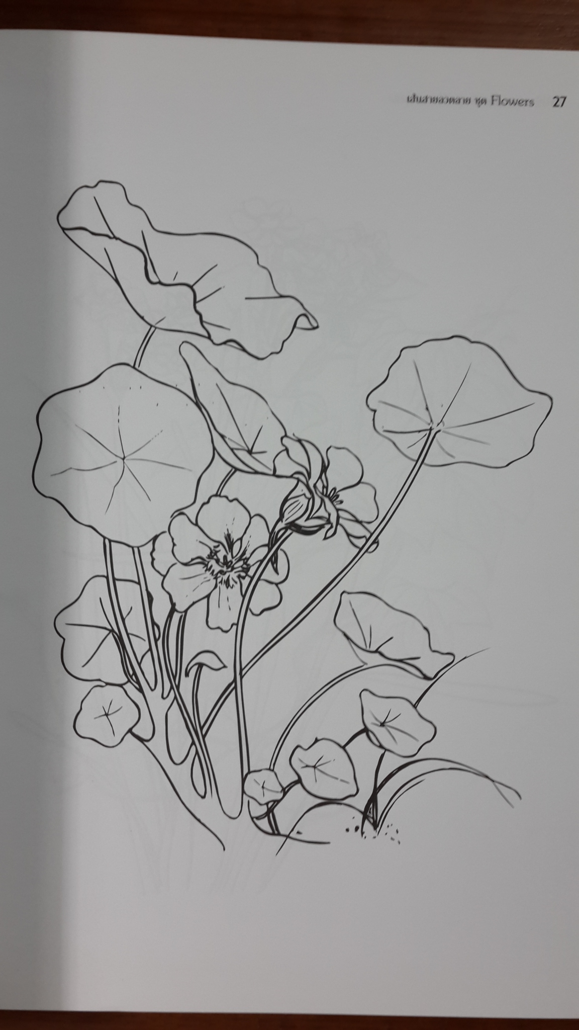 เส้นสายลวดลาย Flowers