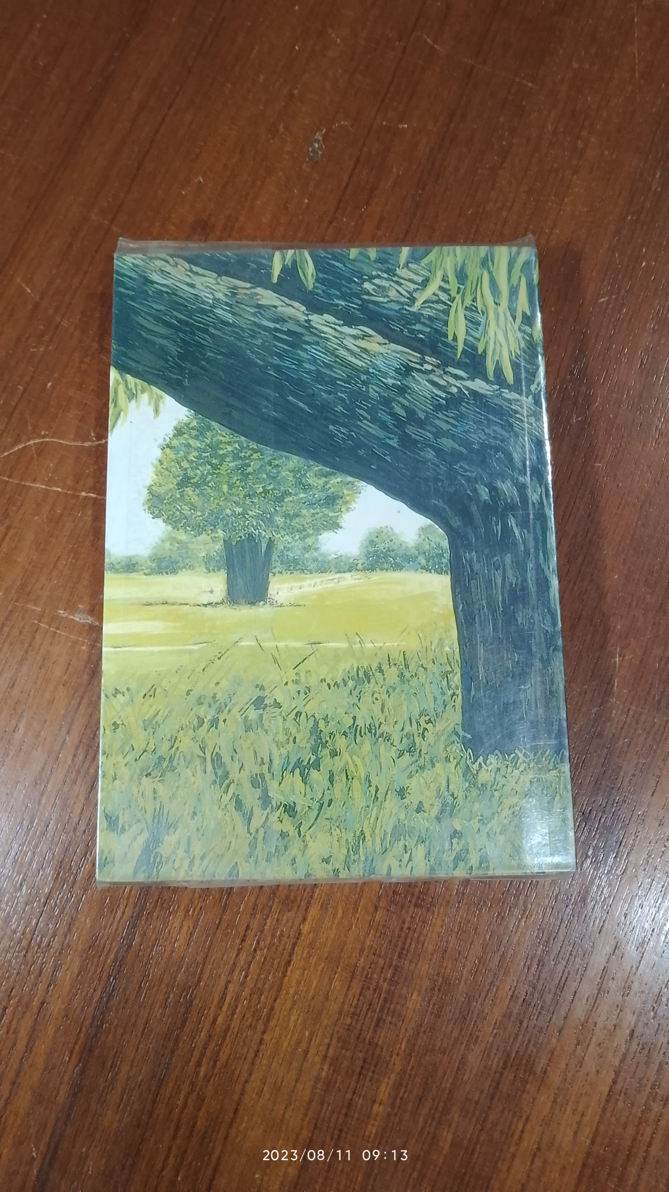 ต้นส้มแสนรัก ภาค 2 / โจเซ่ วาสคอนเซลอส