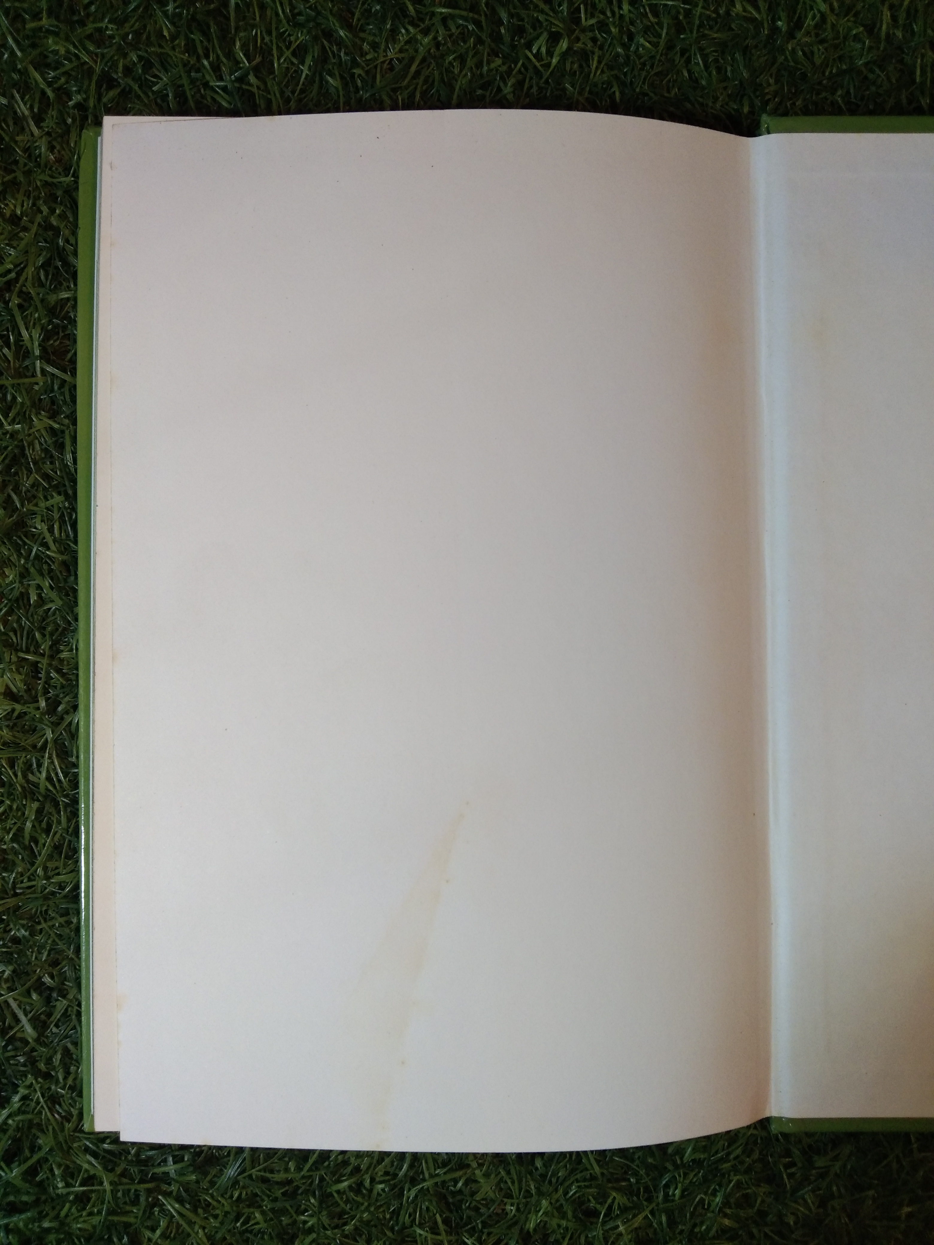 FASCINATING INSECTS of SOUTHEAST ASIA / L.E.O.BRAACK