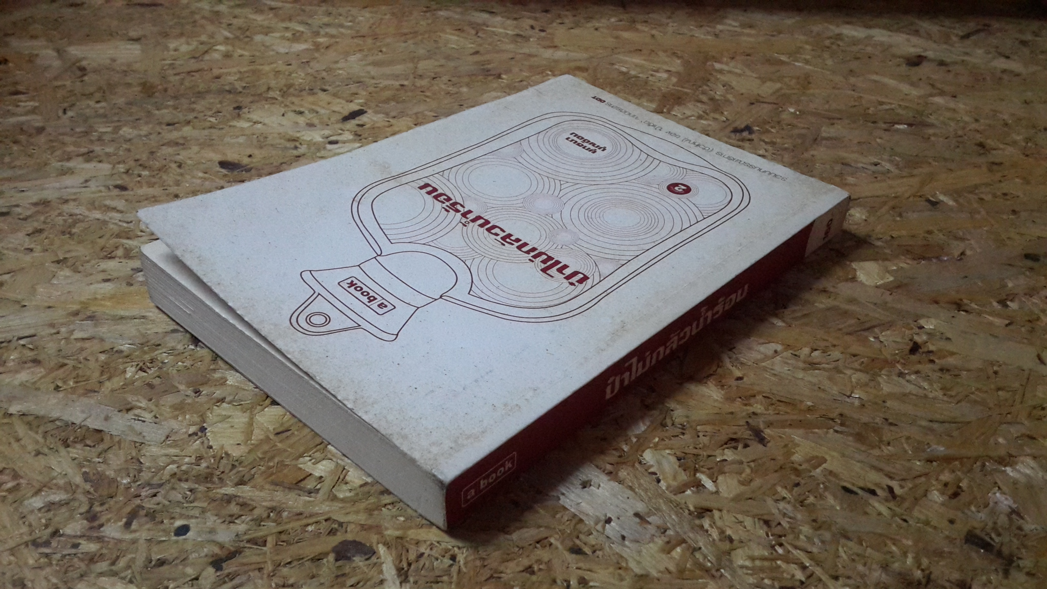 ป๋าไม่กลัวน้ำร้อน / ยุทธนา บุญอ้อม