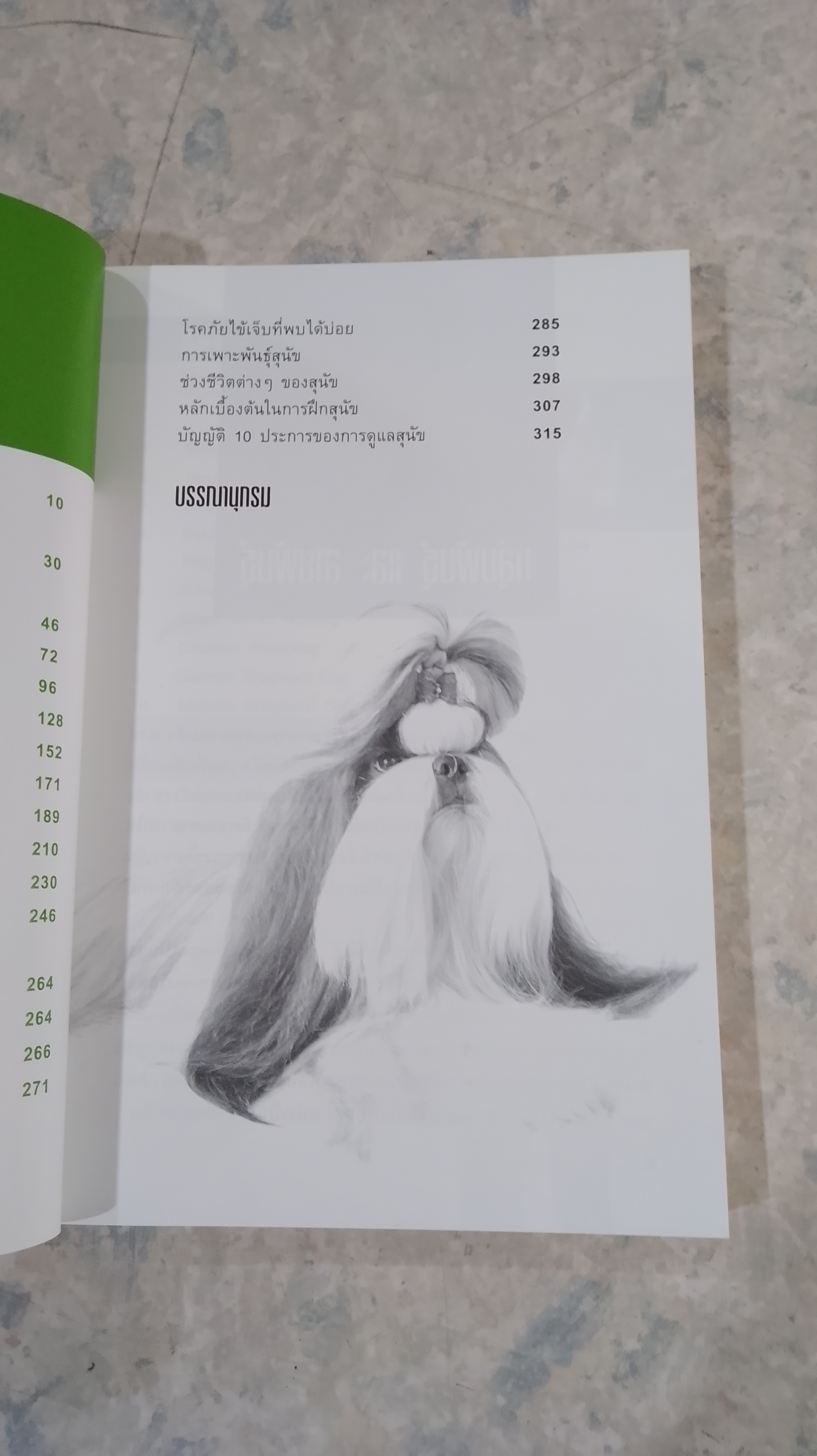 DOG IN THAILAND VOLUME 1 / ทวีศักดิ์