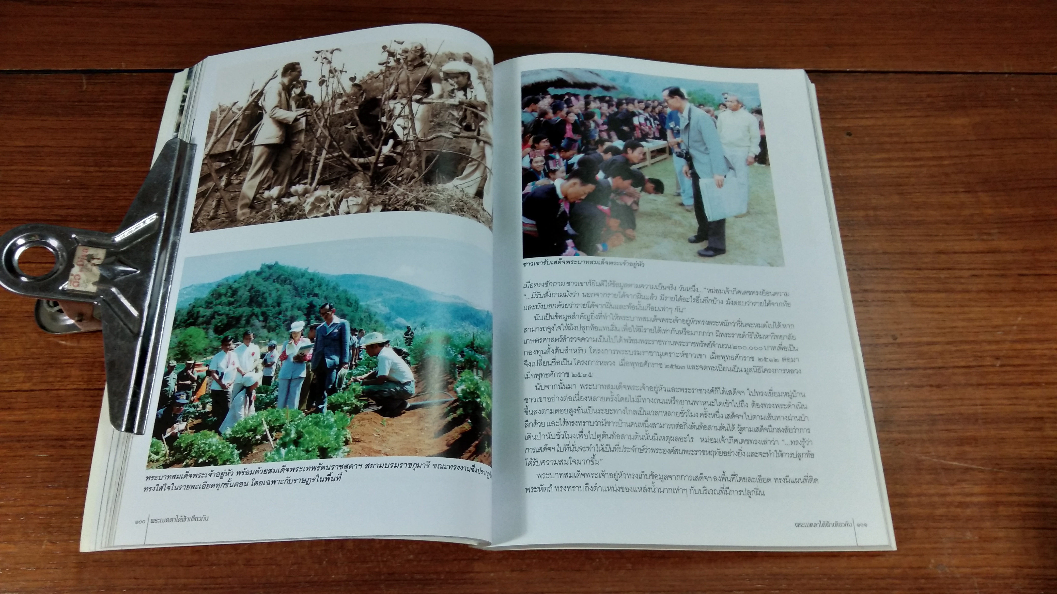 พระเมตตาใต้ฟ้าเดียวกัน