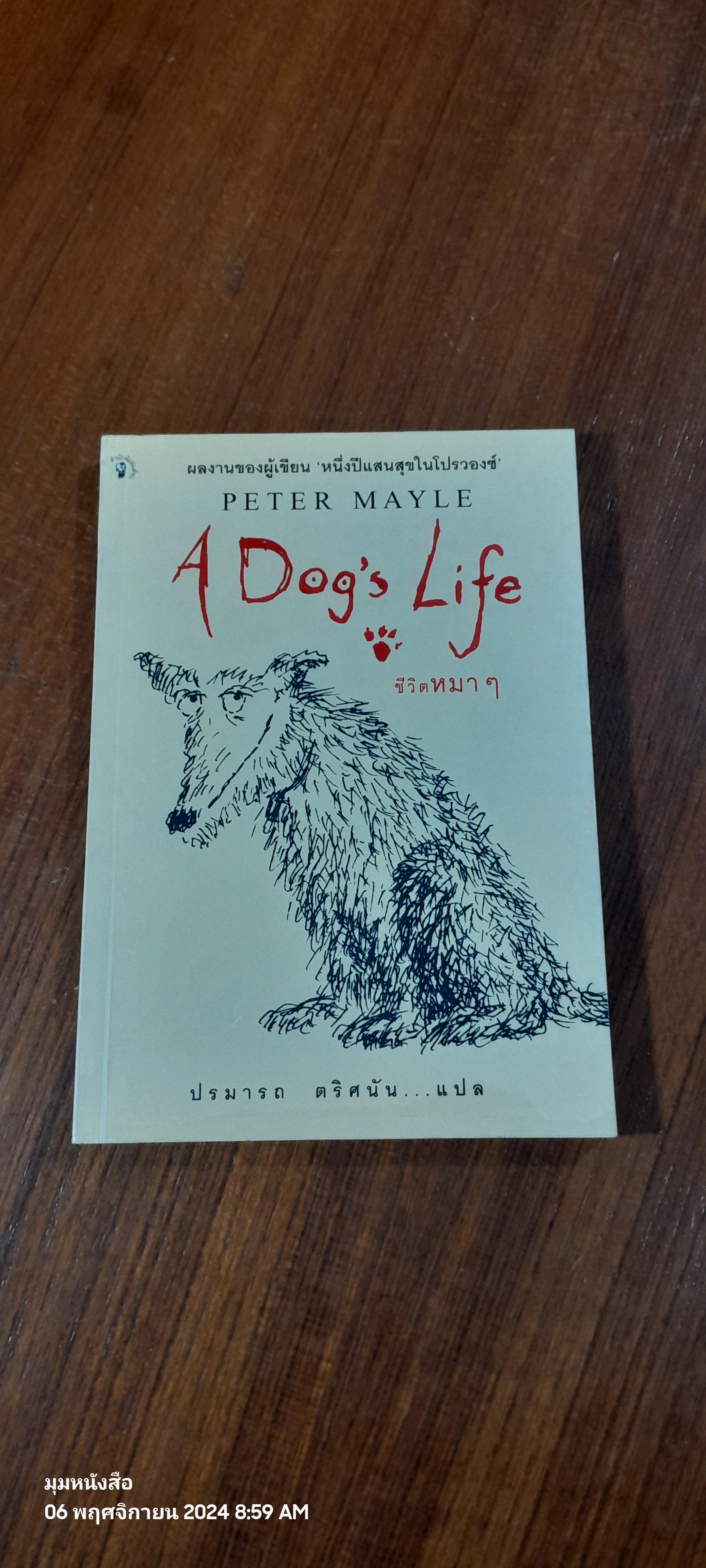 ชีวิตหมา ๆ / PETER MAYLE