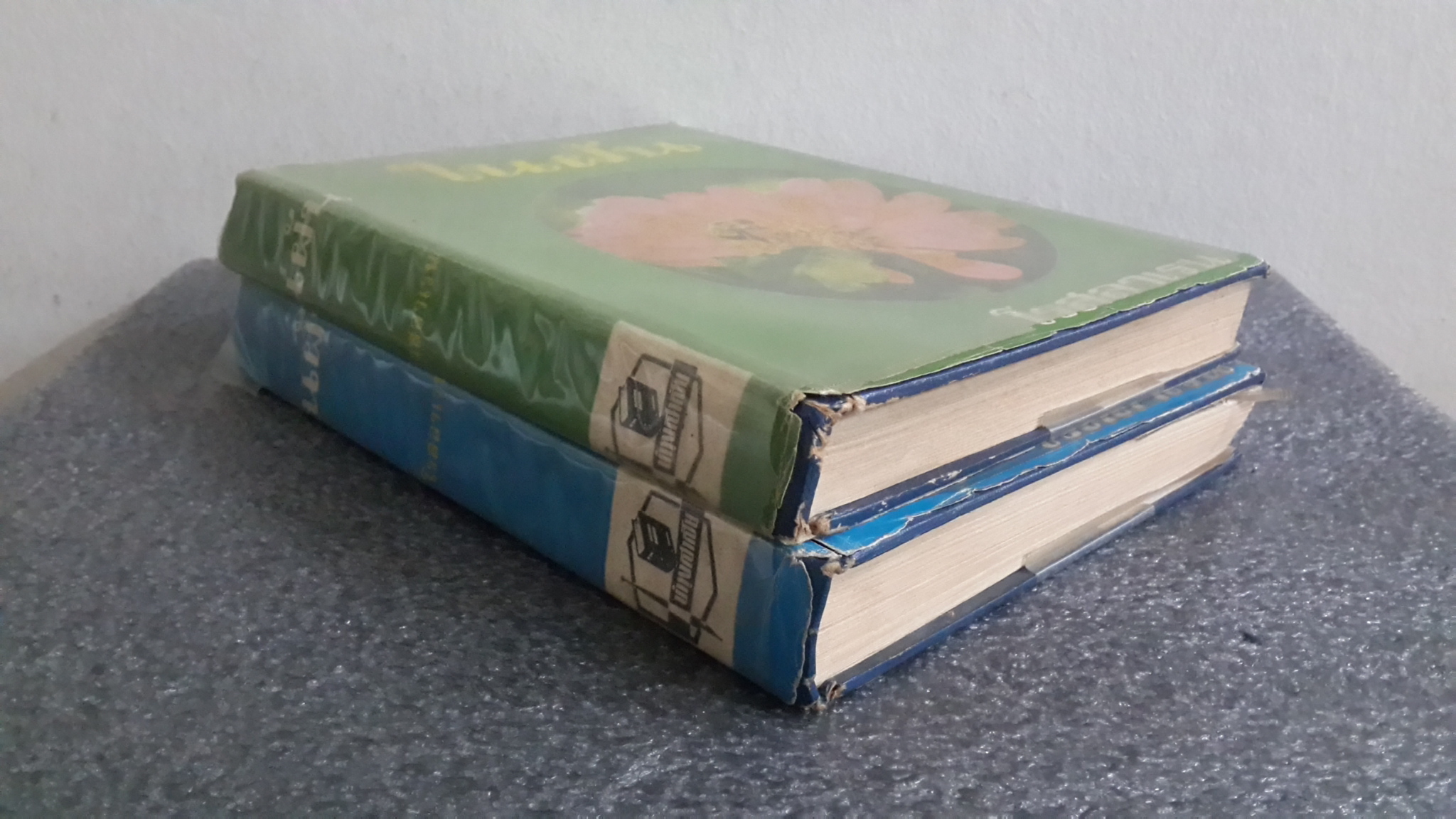 ในฝัน (2เล่มจบ) / โรสลาเรน