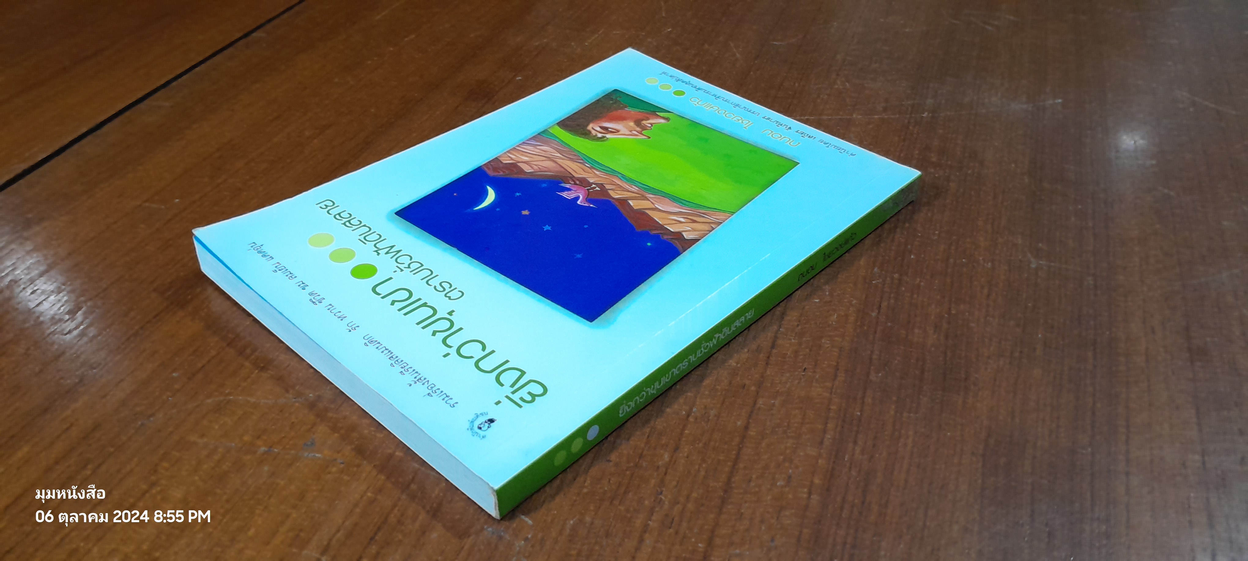 ยิ่งกว่าขุนเขา ตราบชั่วฟ้าดินสลาย / ถนอม ไชยวงษ์แก้ว