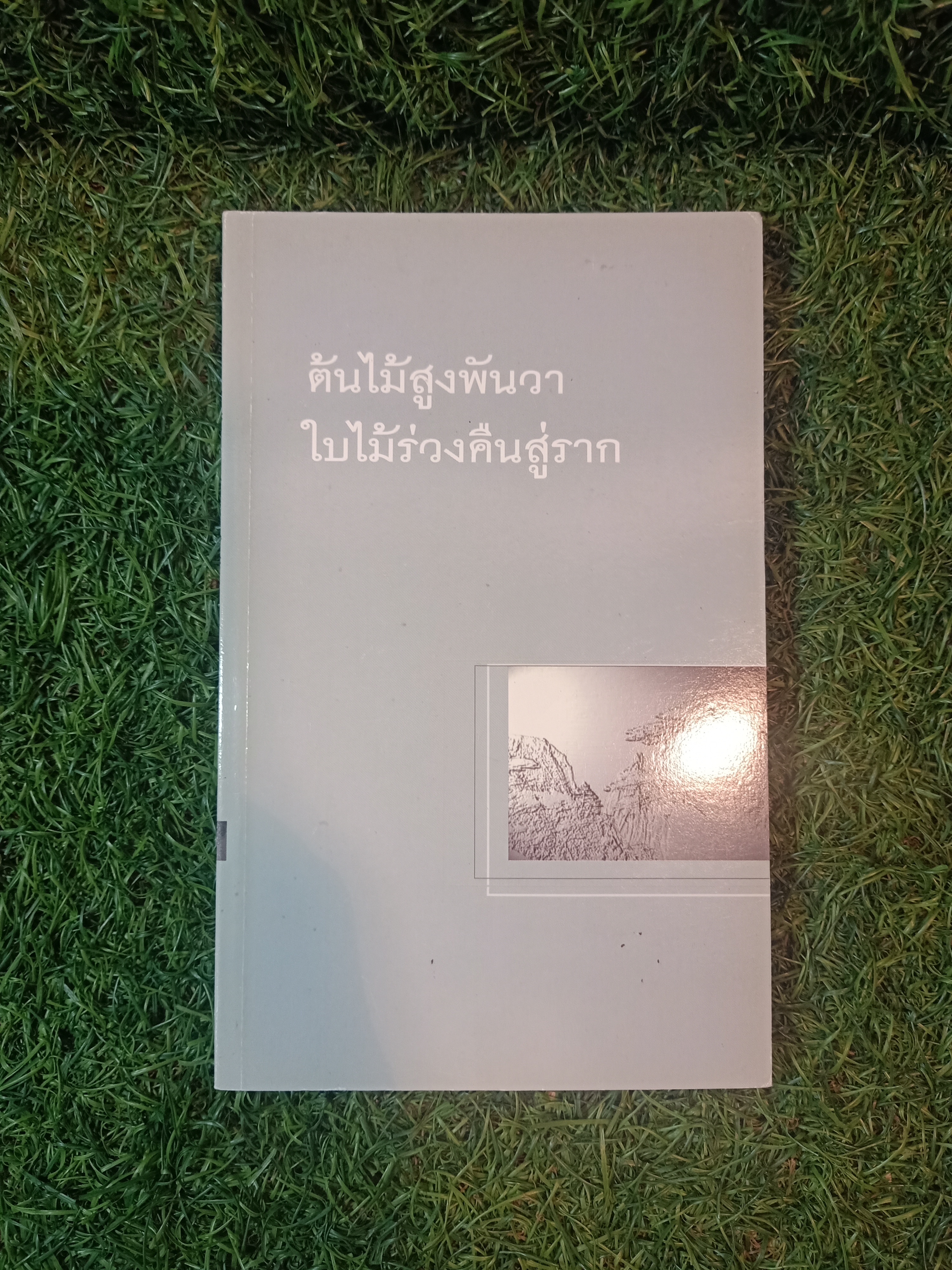 ต้นไม้สูงพันวา ใบไม้ร่วงคืนสู่ราก / พุทธทาสภิกขุ หลวงปู่บุดดาถาวโร หลวงปู่สิม พุทธาจาโร