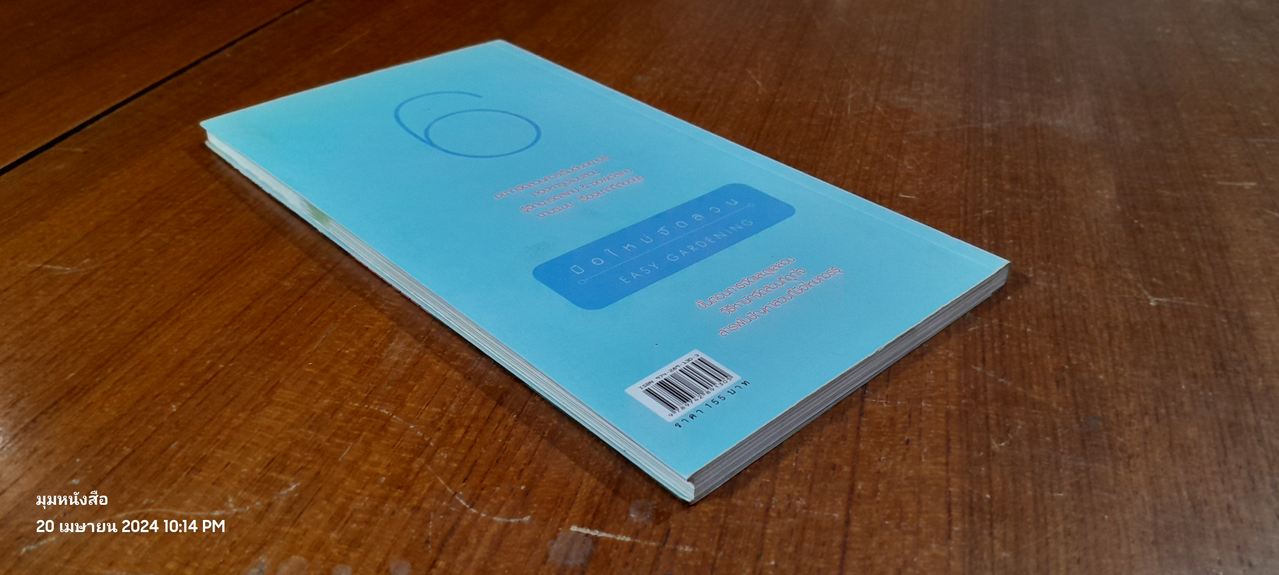 มือใหม่จัดสวน / ทิพาพรรณ ศิริเวชฏารักษ์