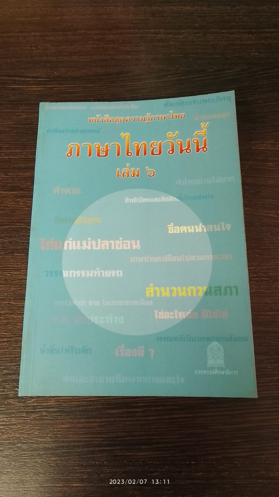 คนไททิ้งแผ่นดิน